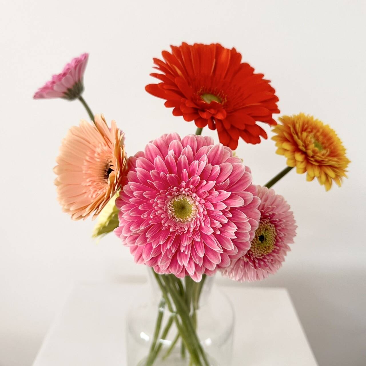 bab7bd715908212c3ffae1fa8e8ec2