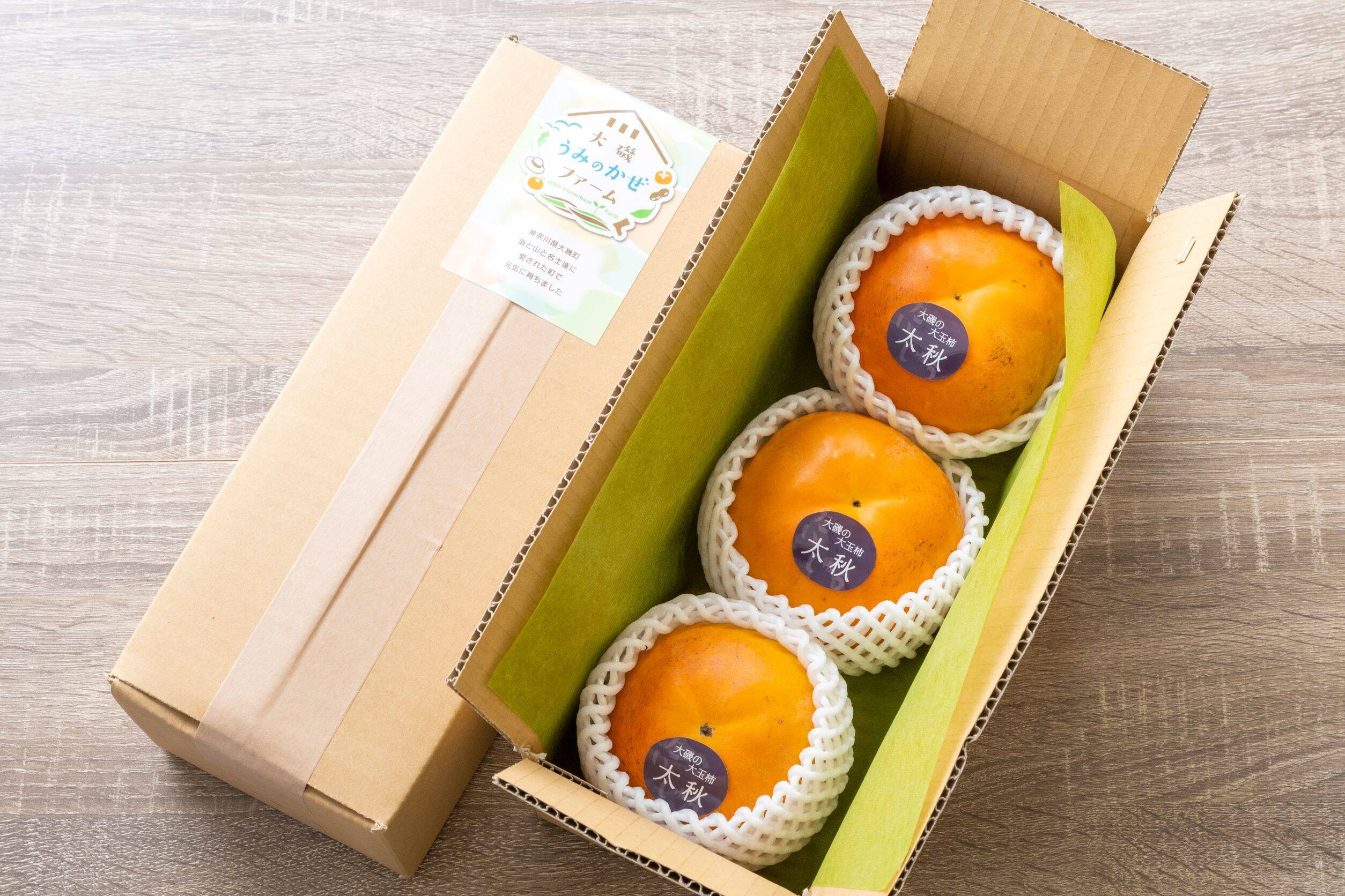 富有柿 大苗木 沢山の大玉！実着きオススメლ⁠(⁠^⁠o⁠^⁠ლ⁠) 富有柿 大