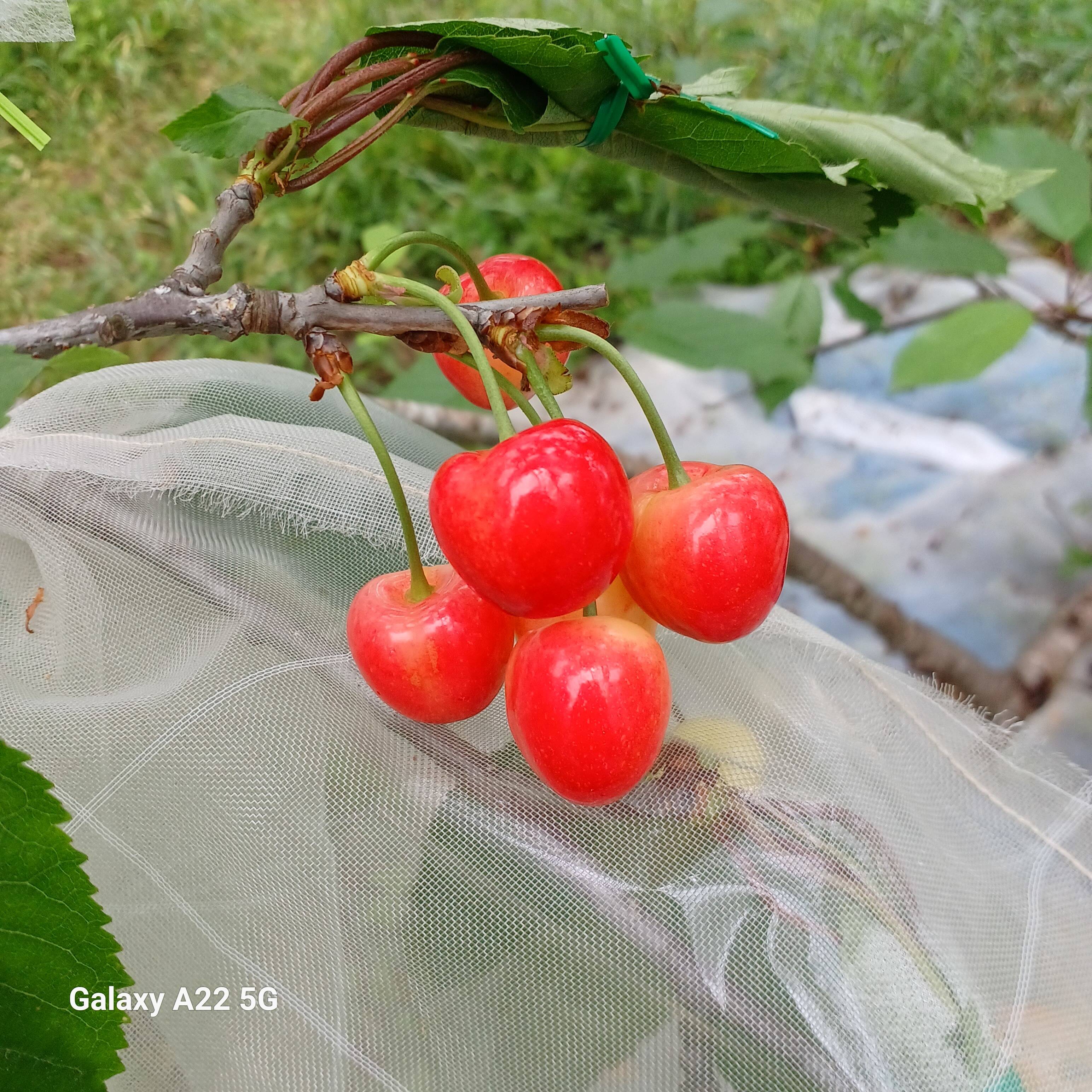 bac7e04e982abc586b4bf6c5bbd326