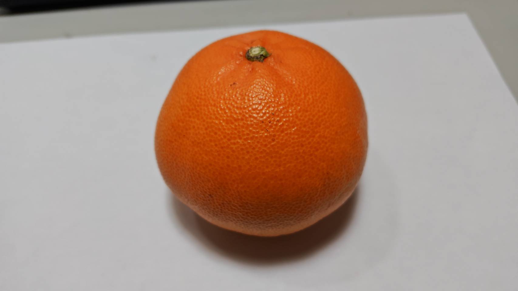 本州向け・せとか☆家庭用4.3K：愛媛県産のみかん・柑橘類｜食べチョク