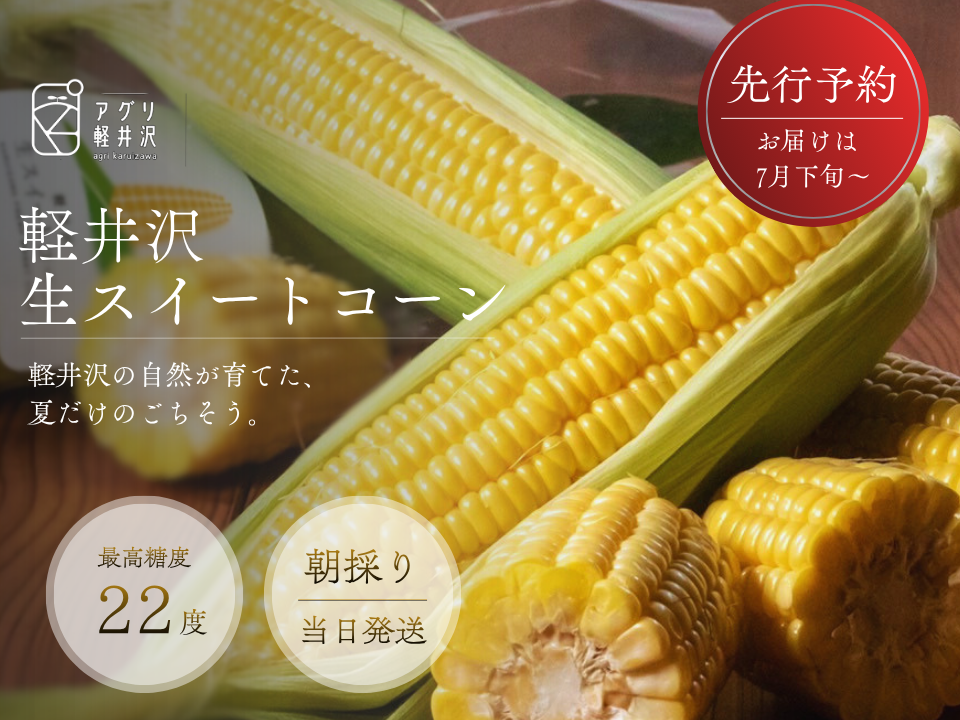 予約販売 朝採り直送 軽井沢生スイートコーン 8本 生でも甘い最高糖度22度以上 まるでフルーツ 初めて のお声沢山頂いています 美味しい食べ方を同梱してします 7月下旬 発送開始予定
