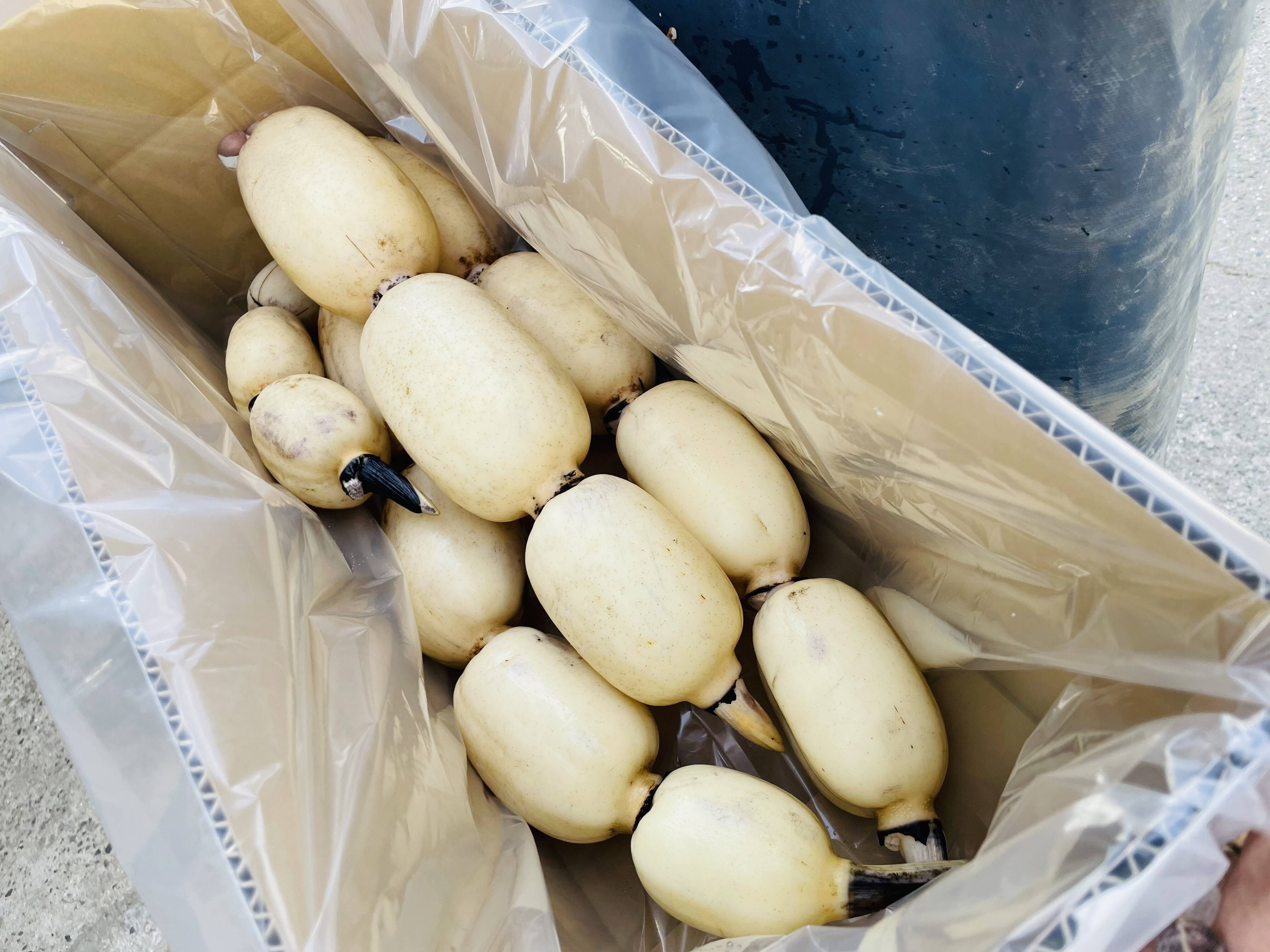 野菜ソムリエがおすすめする野菜のおいしいお店 八百屋さんでランチ会!? 野菜の美味しさ・調理法まで全部教えて