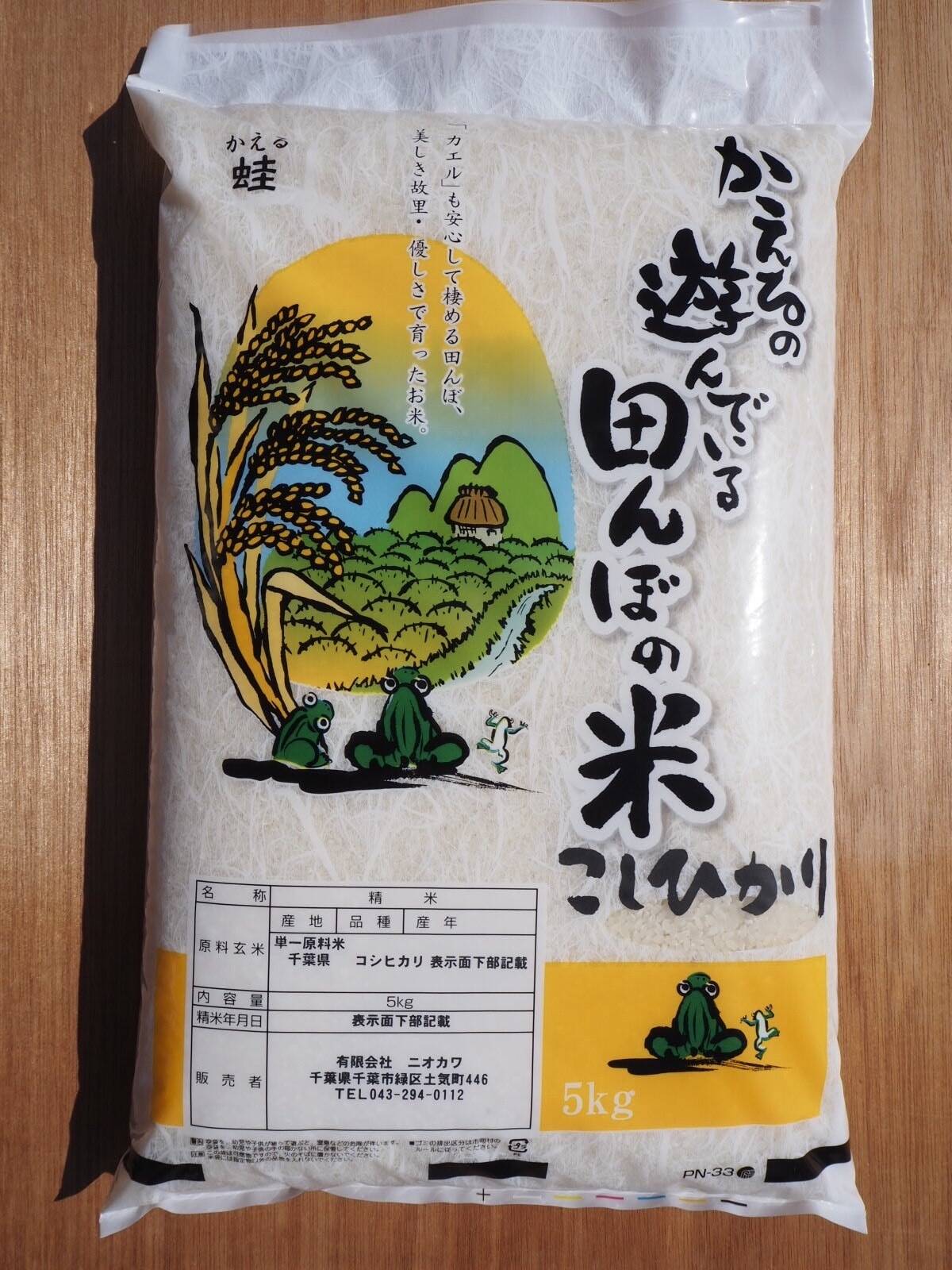 収穫しました 新米 令和7年 千葉県産 コシヒカリ 白米 5kg：千葉