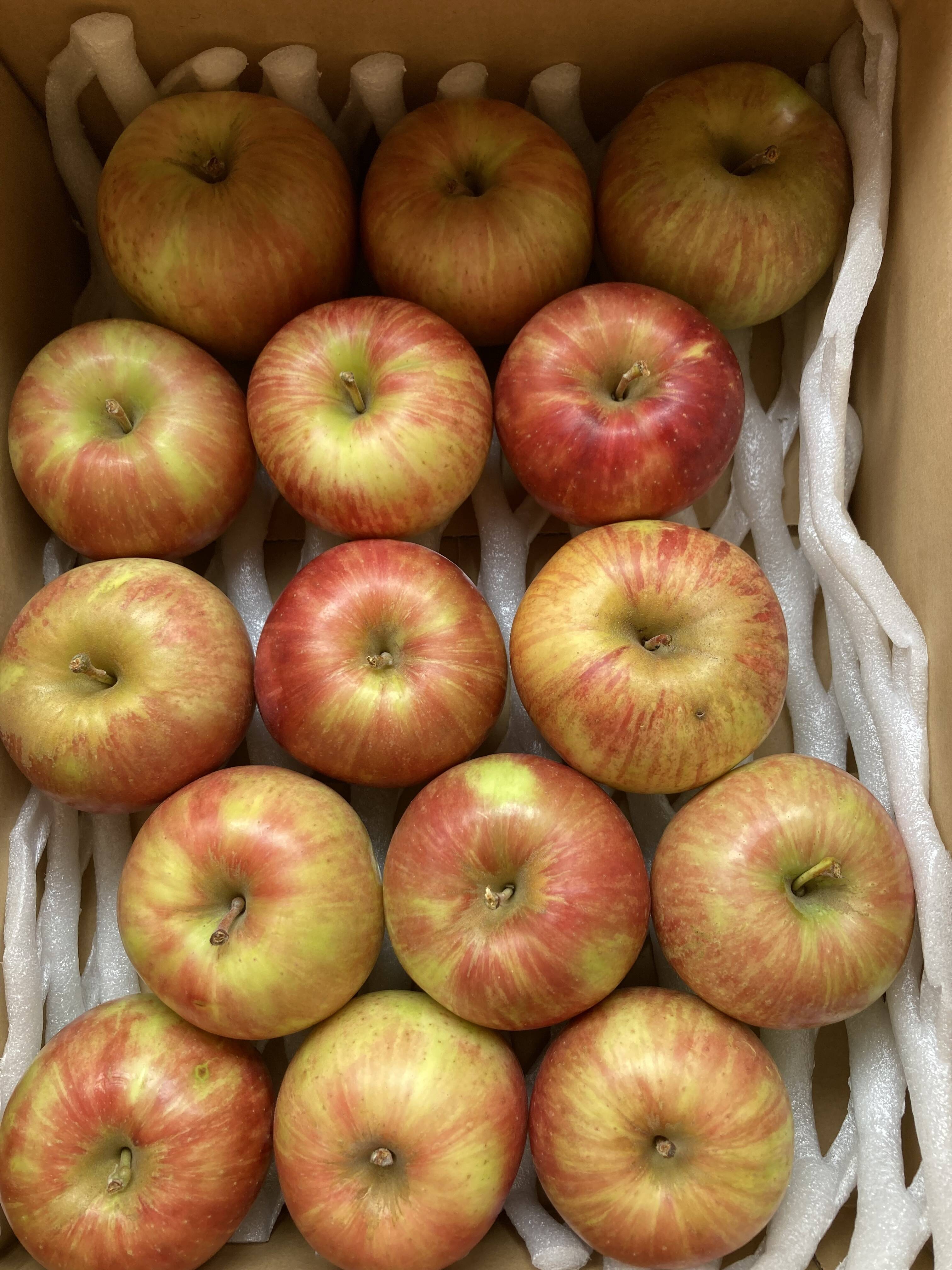 梨　 4キロ＋　摘果りんご3キロ
