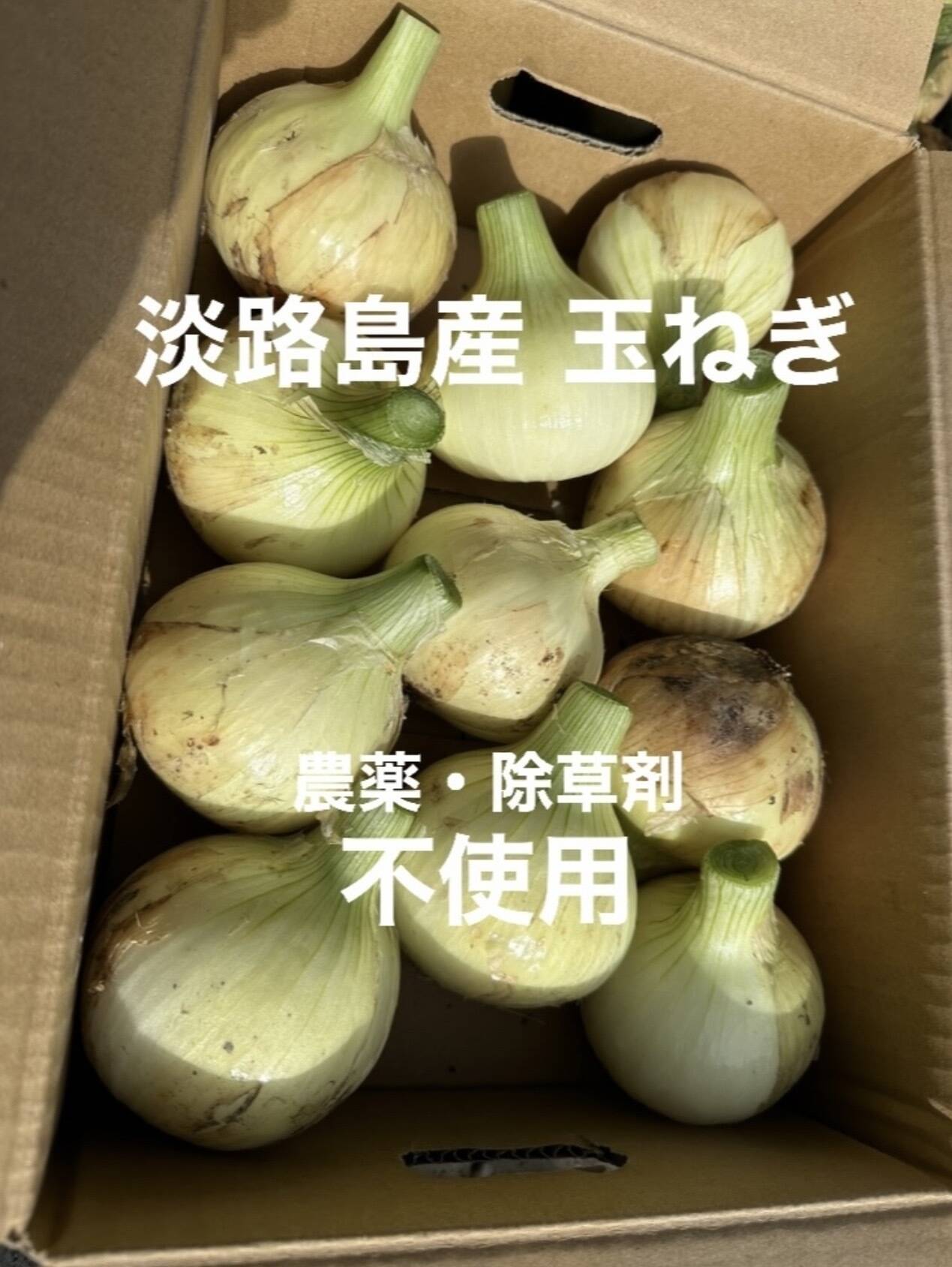 訳あり】農薬、除草剤不使用！淡路島 玉ねぎ5kg 【生で食べてみて