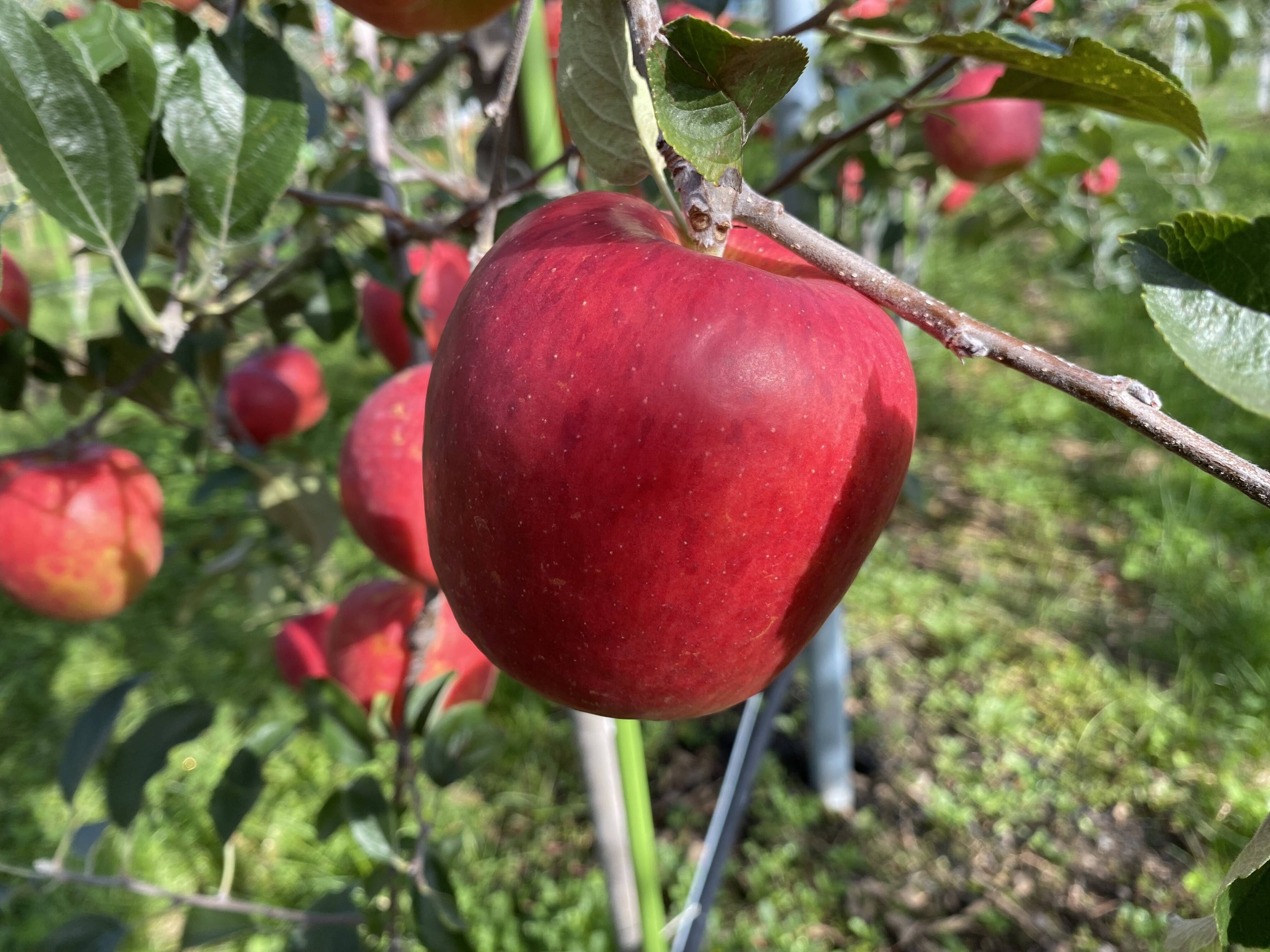 bb866b8dd84fd207557f7c144d5b88