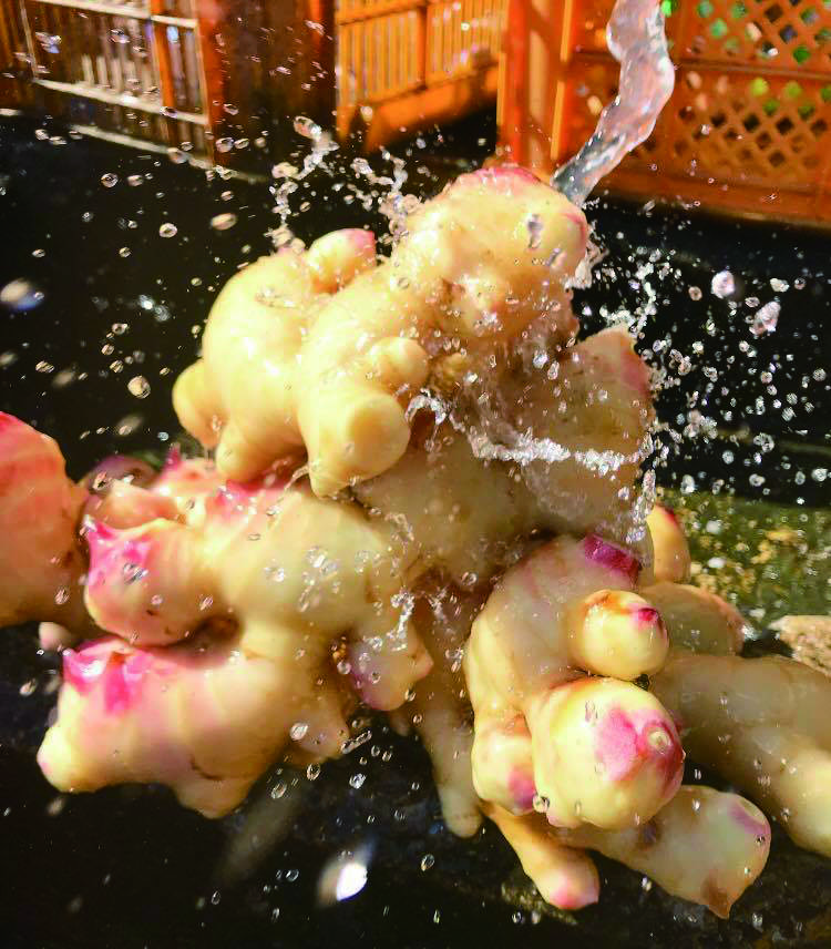 付録：生姜レシピ】〈新生姜〉柔らかい！薬味屋人作の島原百年生姜