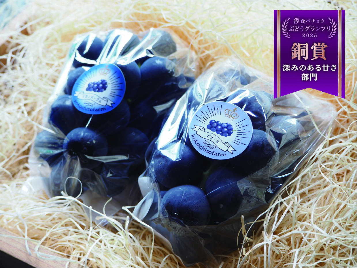 長野県産 ぶどう 4種詰め合わせ・食べ比べ bbbebe26ad9ac8b9016f57fa6ed563