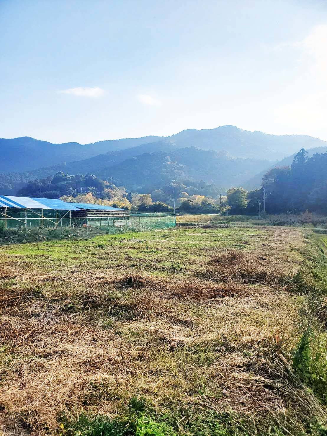 ドリームファームへのレビュー 商品 愛知県 食べチョク 産地直送 産直 お取り寄せ通販 農家 漁師から旬の食材を直送