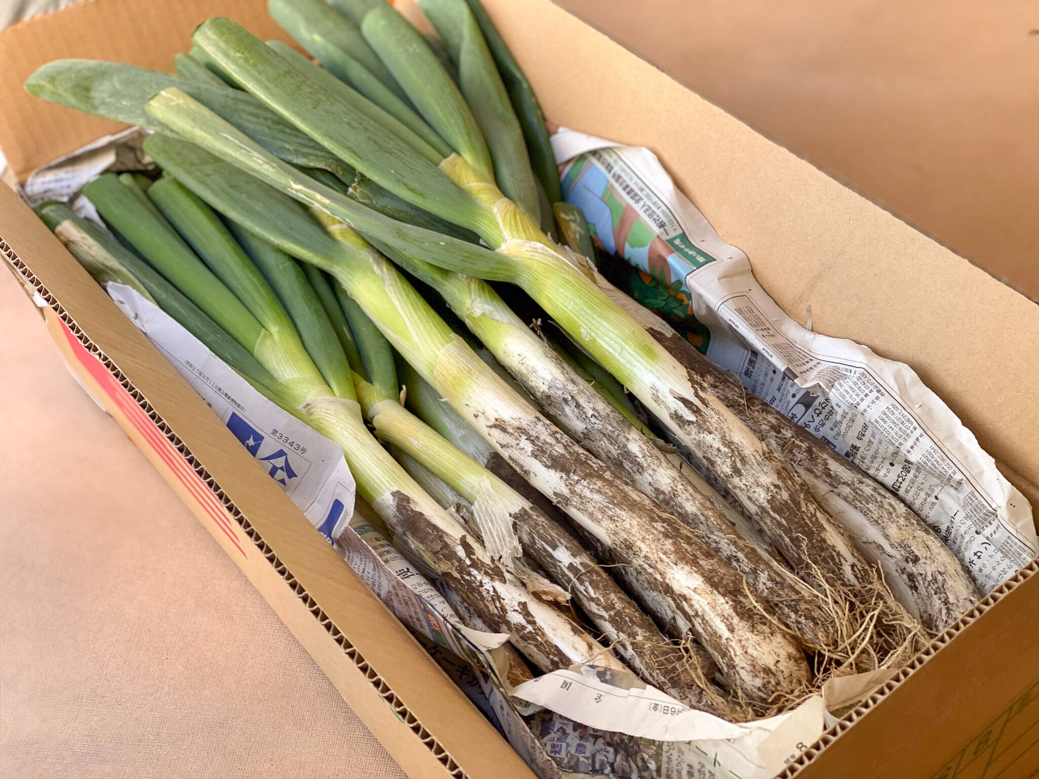 bbd16cd0a04e5de60a1e1c228ad670