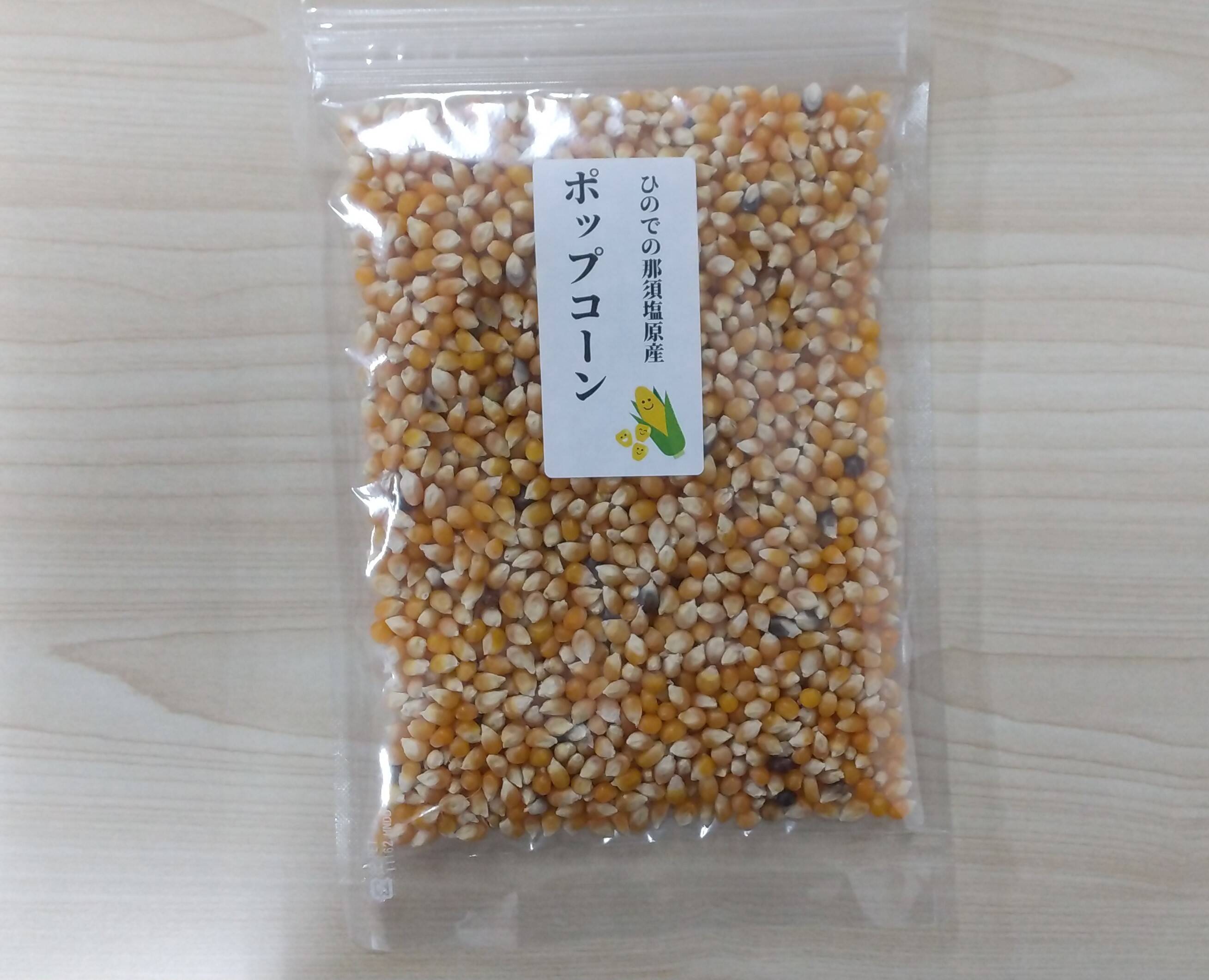 菊芋パウダー 山口県産 内容量100g x 3個 - その他 加工食品