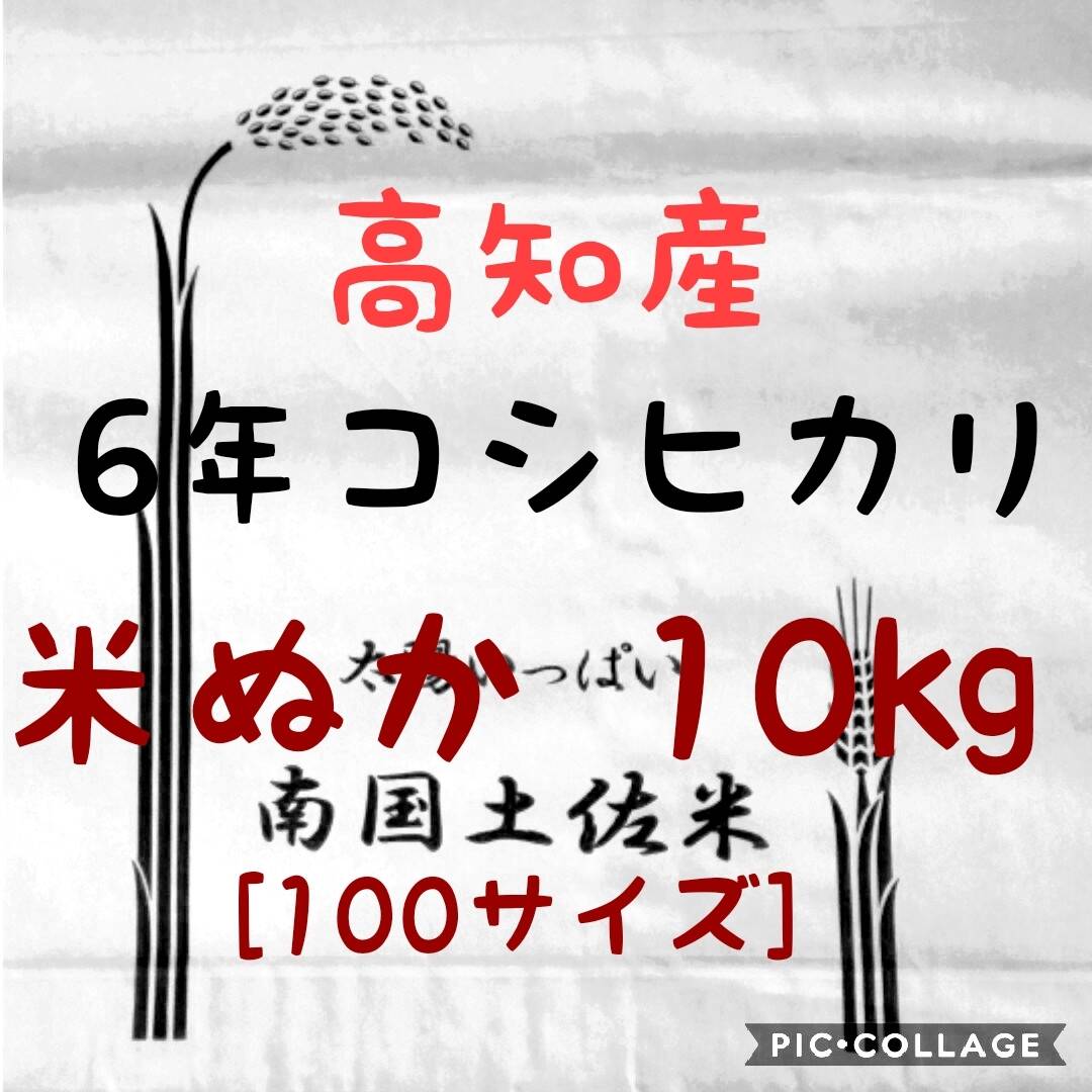 令和6年産 高知県産 新米 コシヒカリ 米ぬか 10㎏(袋込み)：高知県産のコシヒカリ｜食べチョク｜産地直送(産直)お取り寄せ通販 -  農家・漁師から旬の食材を直送