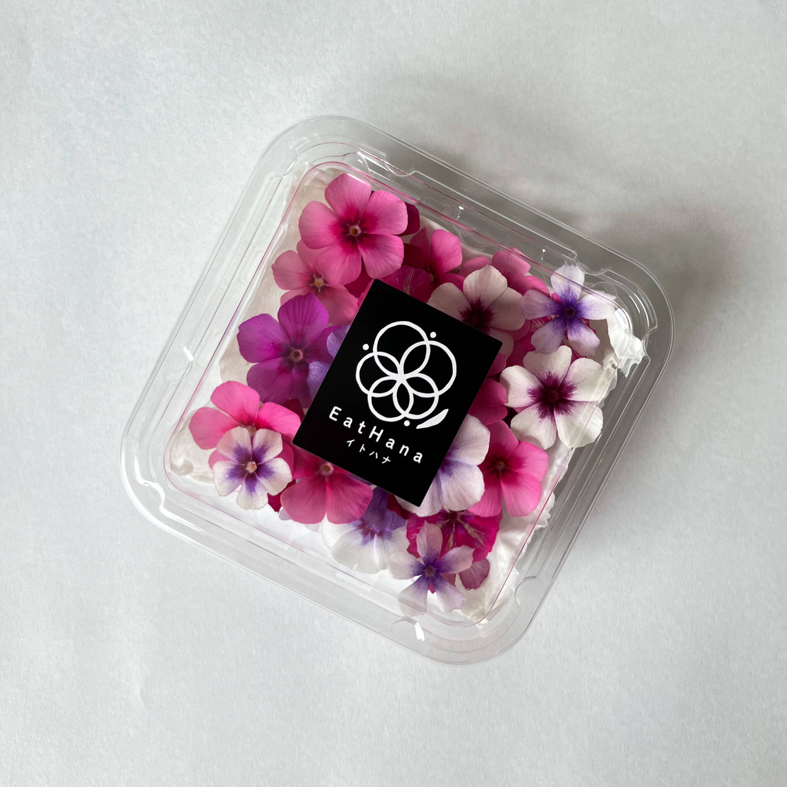 室内栽培＞【エディブルフラワー フロックスMIX（20輪）】EatHana