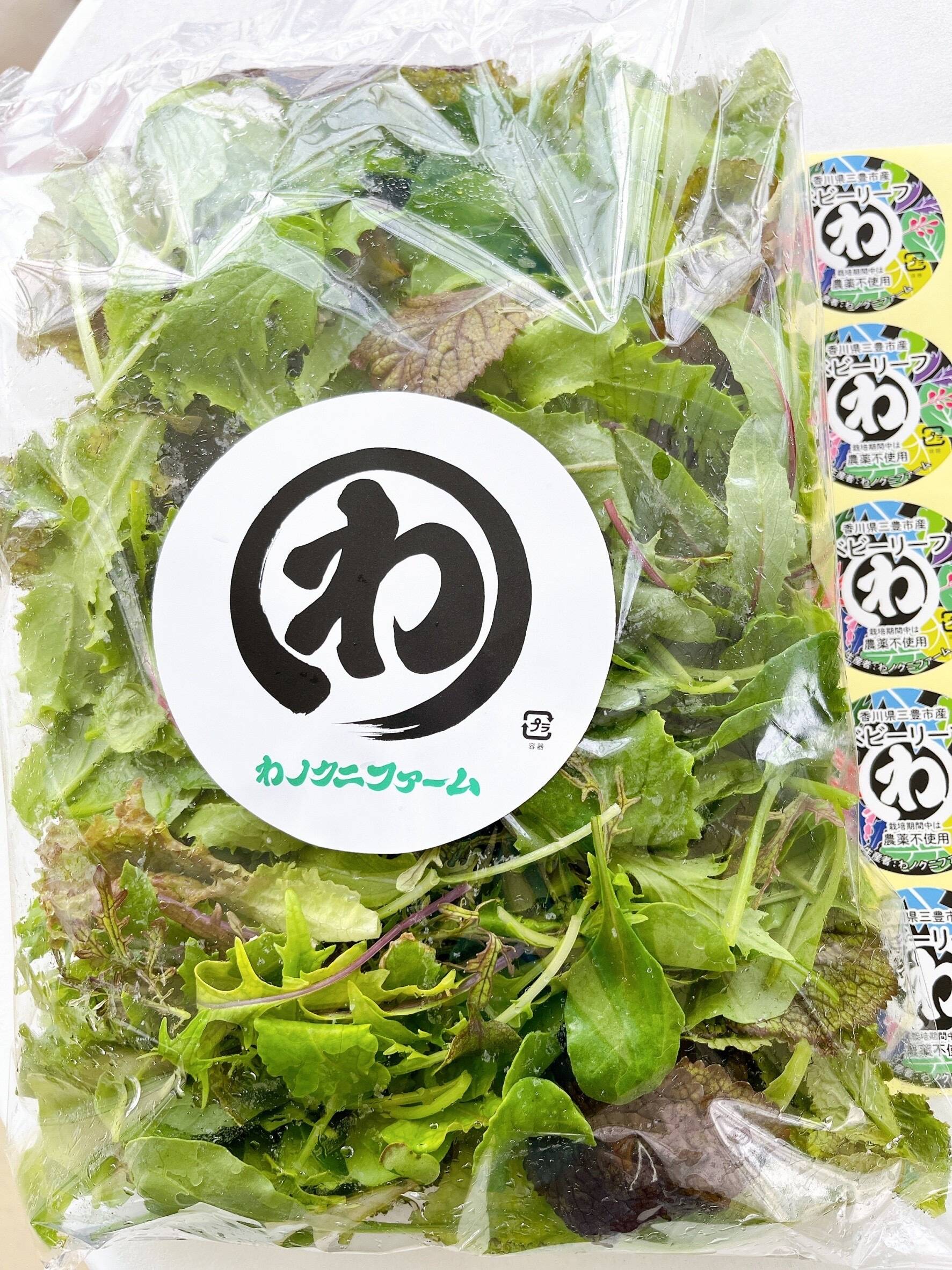 わノクニファームこだわりのベビーリーフ300g！！：香川県産のその他葉