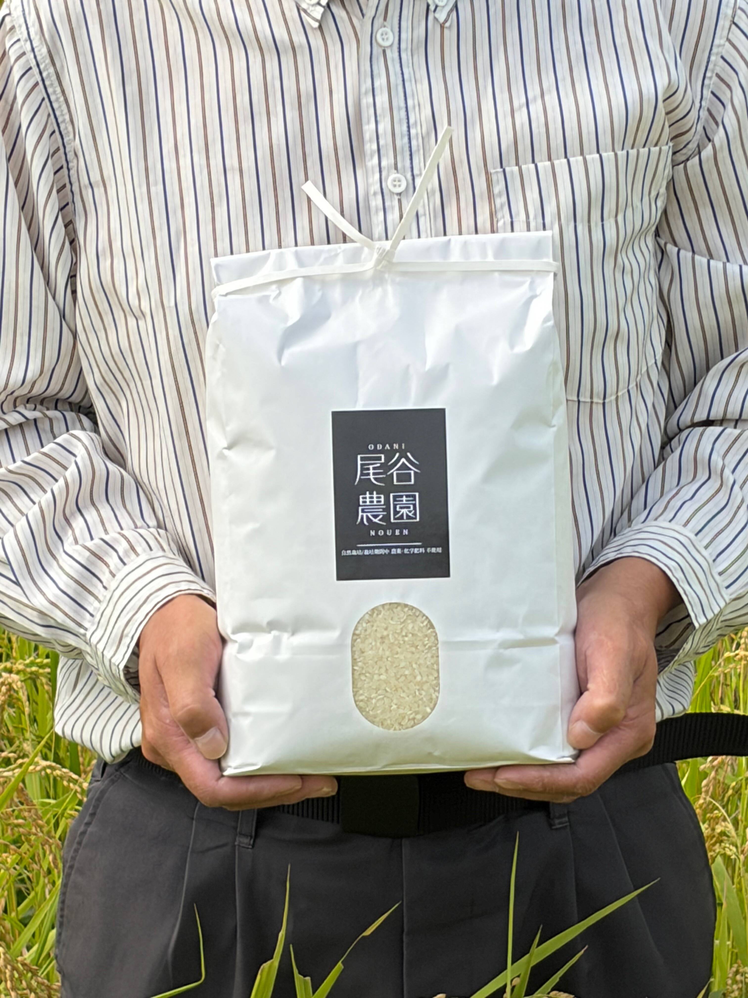 9周年感謝祭】【令和8年産】自然栽培コシヒカリ・白米（10kg）【栽培