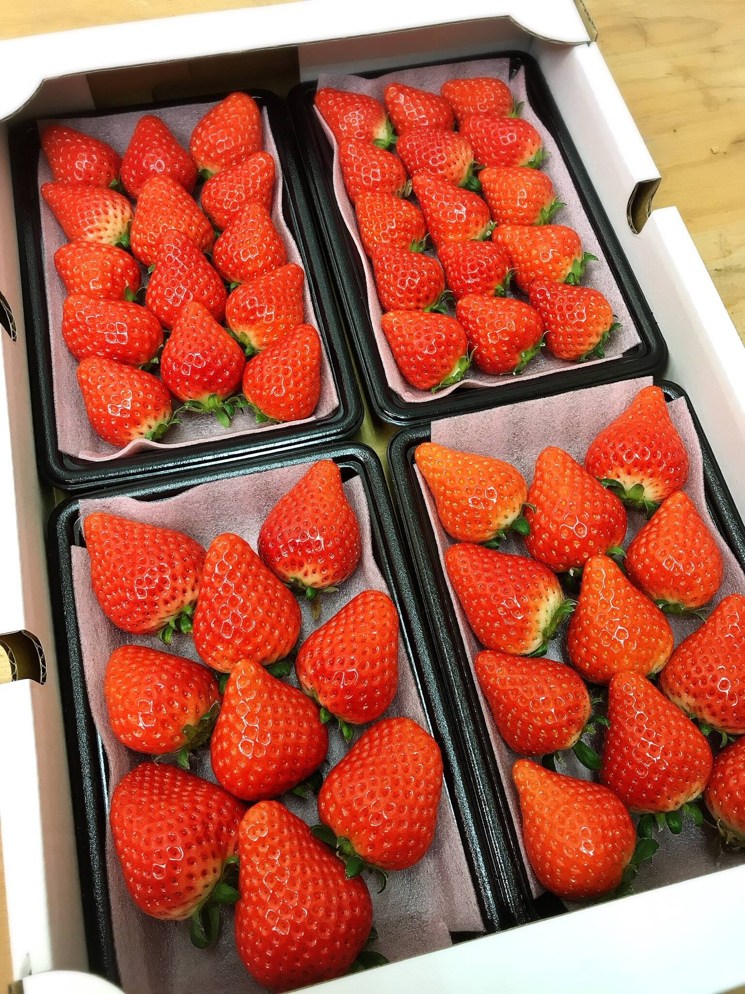 瀬戸内・大三島産しまなみいちご。（280g×4パック） 【ギフト
