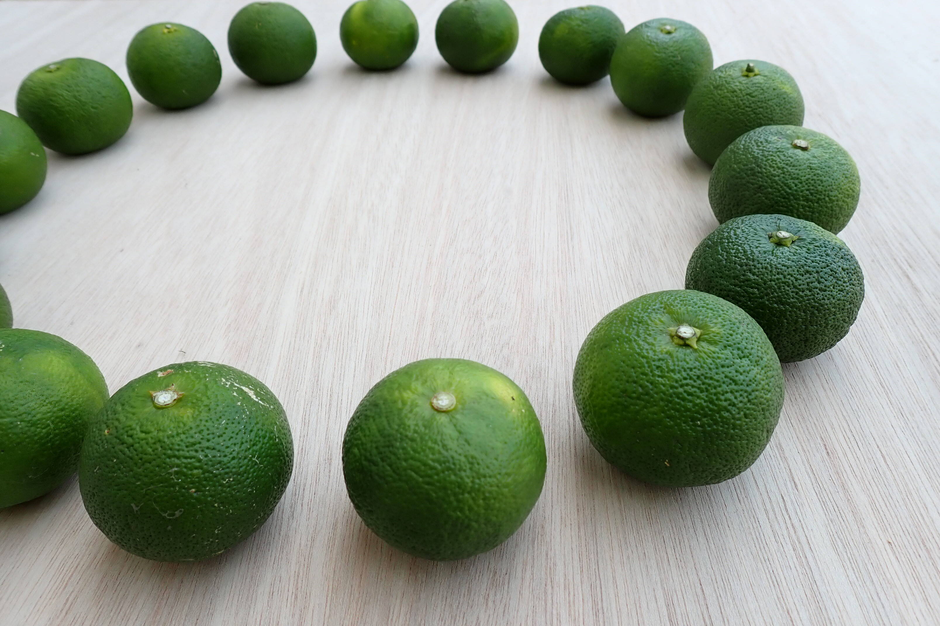 BIG！すだち【特別栽培・3kg箱】神山町からお届け：徳島県産のみかん