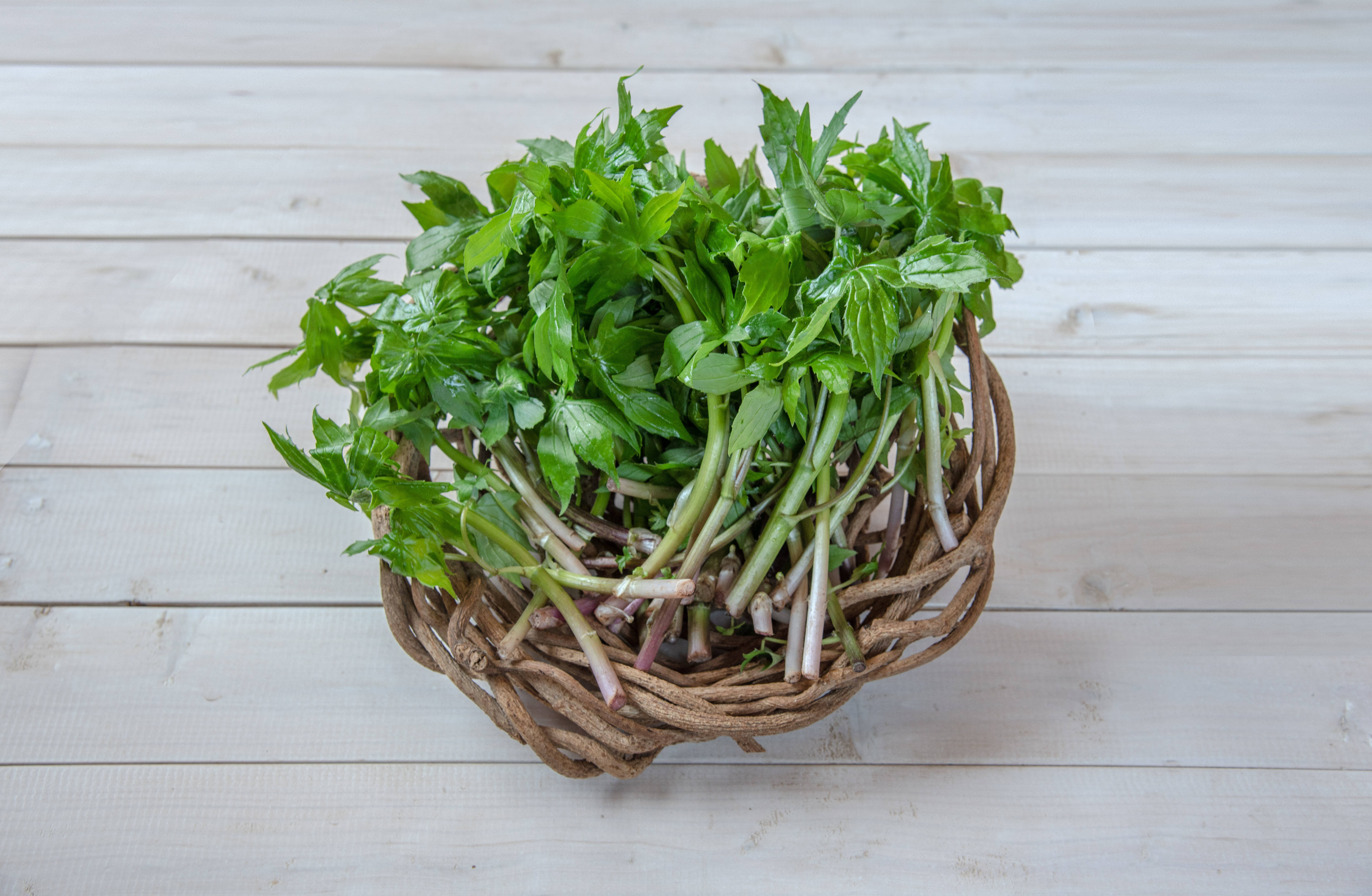 期間限定で特別価格 天然 山菜 みず 赤ミズ ウワバミソウ 500g 初夏の