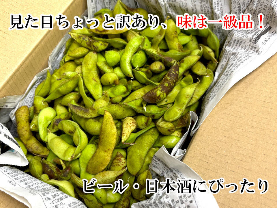 数量限定・お得用】丹波篠山黒枝豆 B級品 たっぷり1kg（実質1kg以上