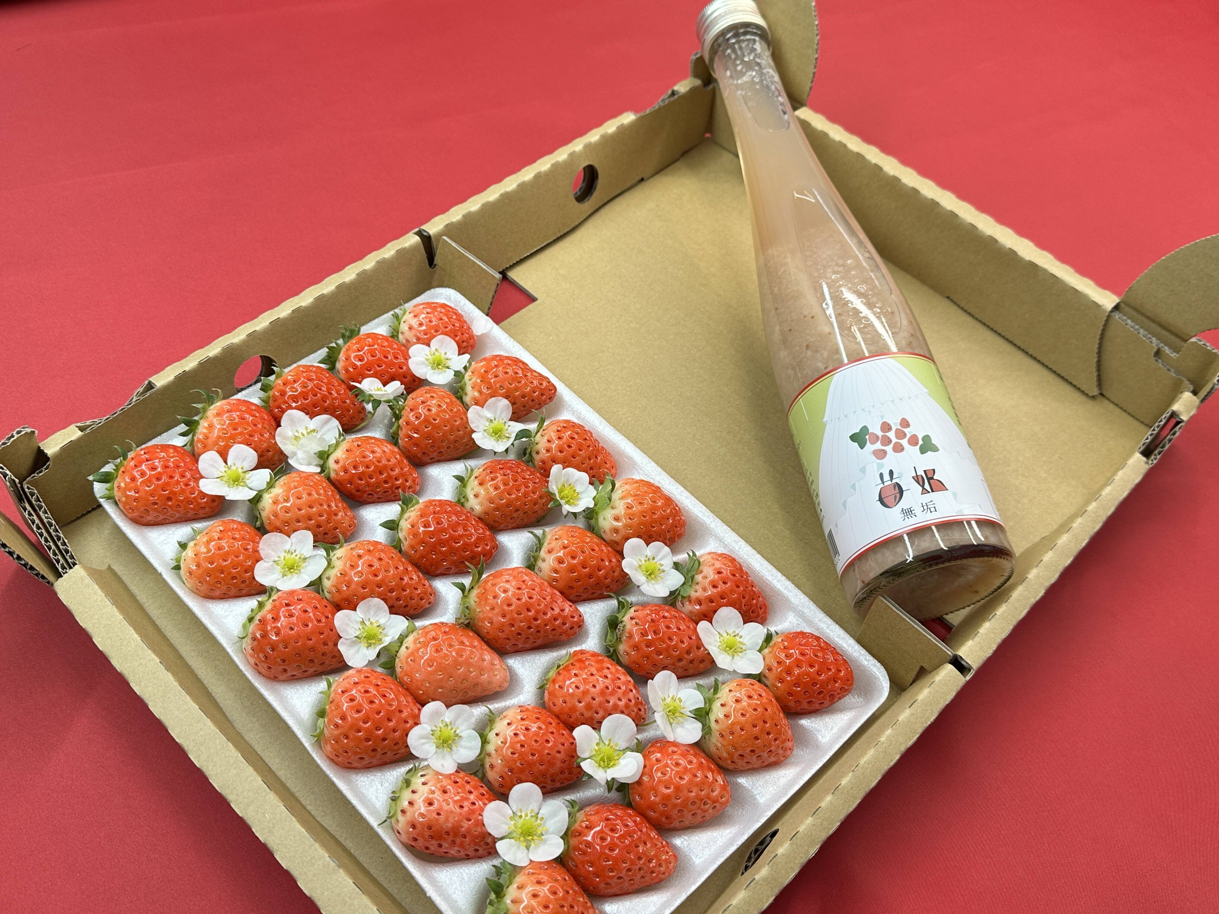 子どもが喜ぶ夏イチゴ】と【濃厚!! 夏イチゴの甘酒『苺姫 無垢』】の