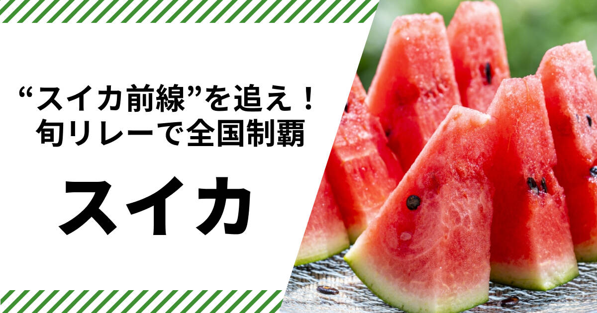 スイカ