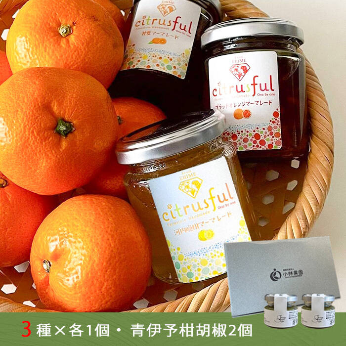 夏商品 6月14日発売｜adidas Originals ZX 8000 atmos “URA” 名作別注