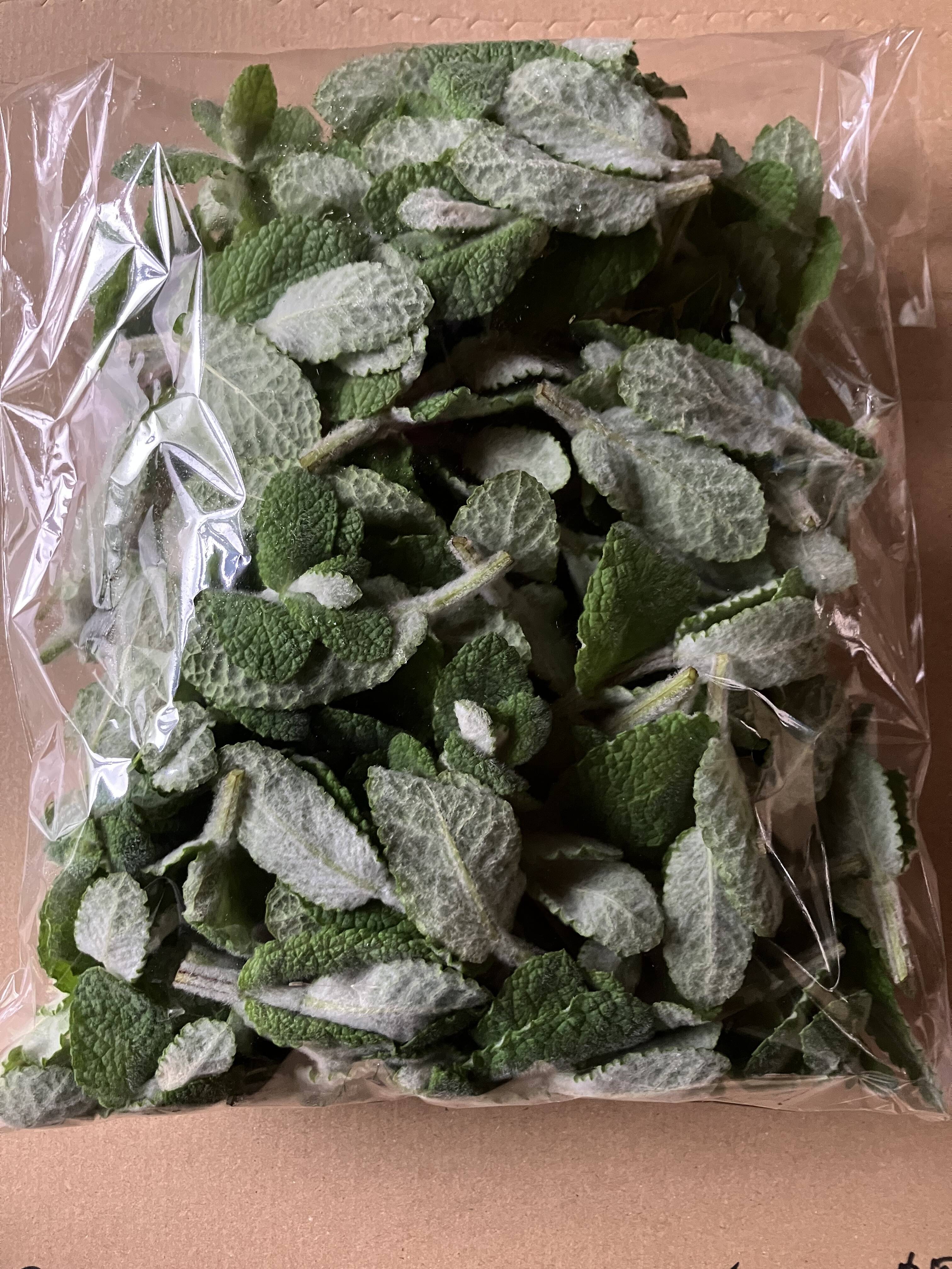 フルーティー♪ 自然栽培アップルミント（フレッシュ100g）：山形県産