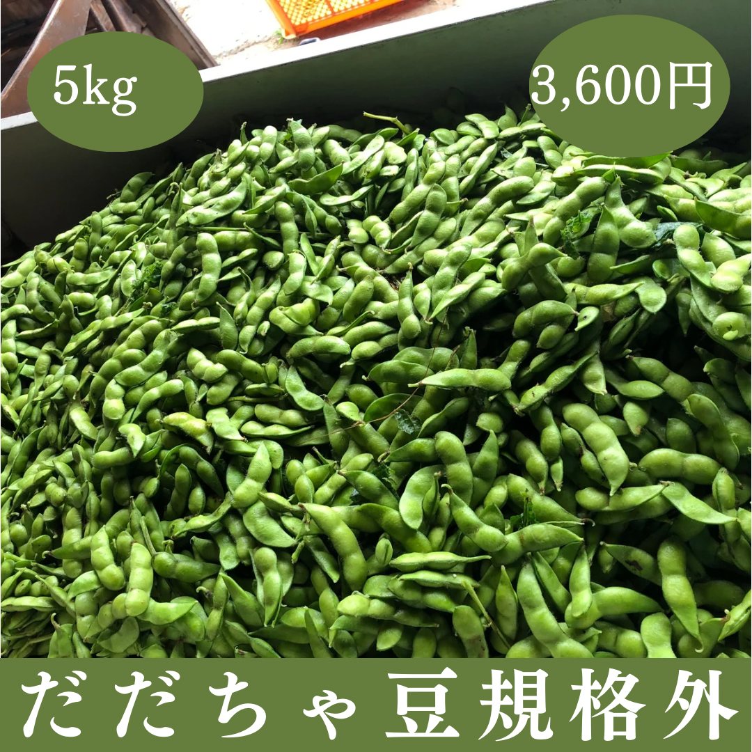 だだちゃ豆 規格外品 5kg 山形県 鶴岡市 特産 枝豆の王様 量り売り