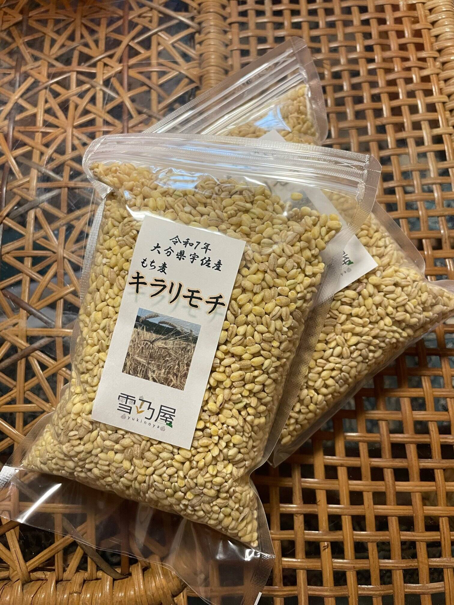 モチプチ食感 もち麦「キラリモチ」 4kg（500g×8袋）☆おまけ付：大分