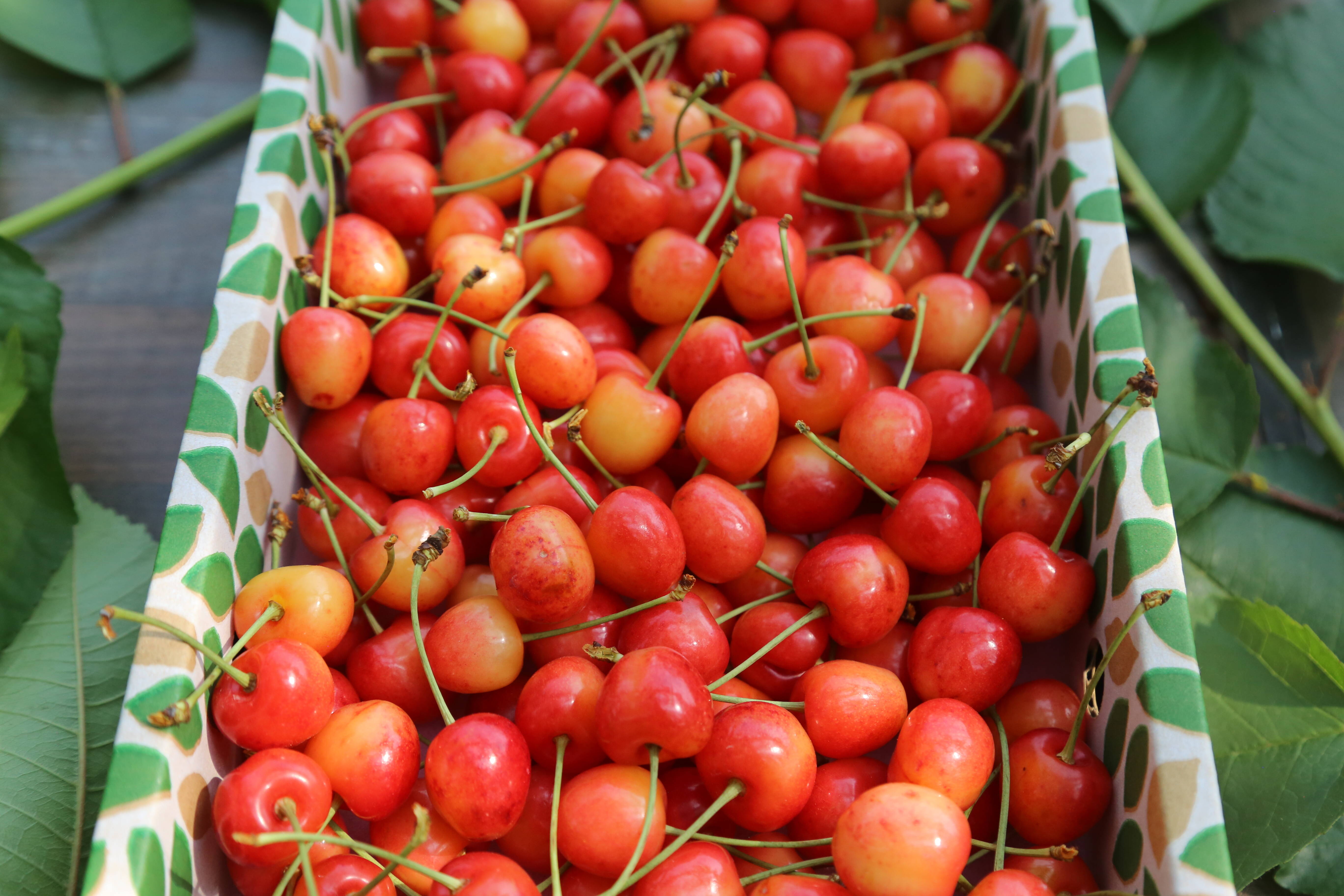 be0e6437954d63ad5738d489e6e6a6