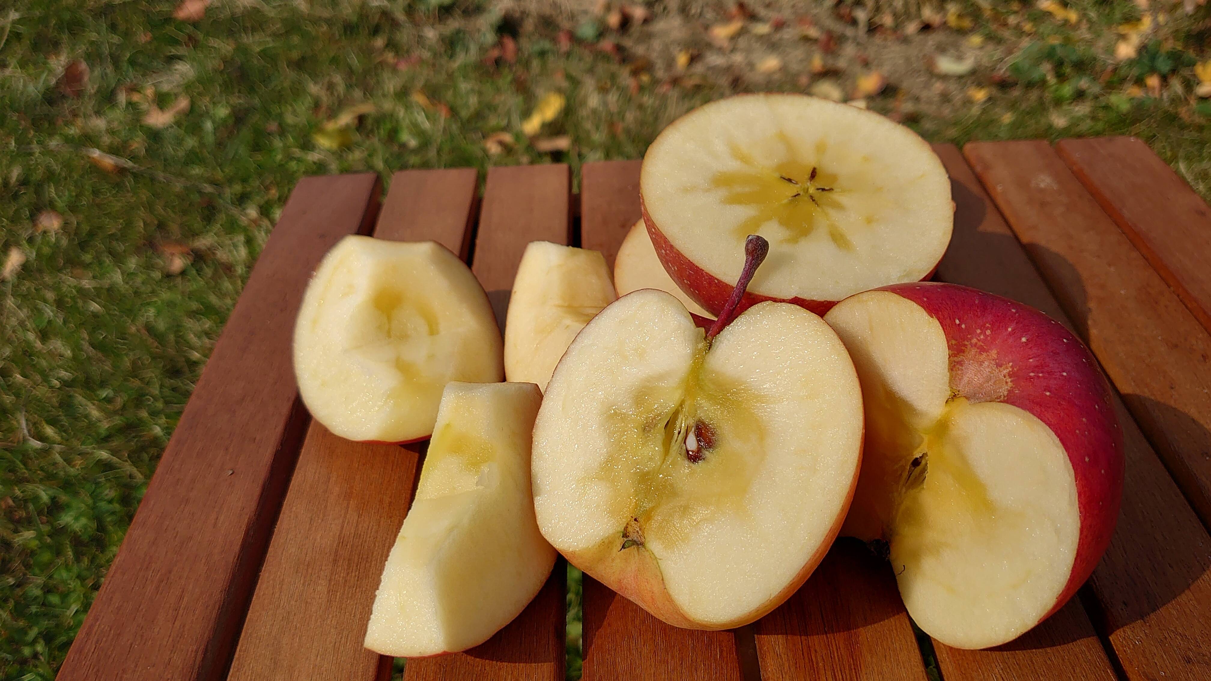 be121e08f88f8d688f0140693d60c0