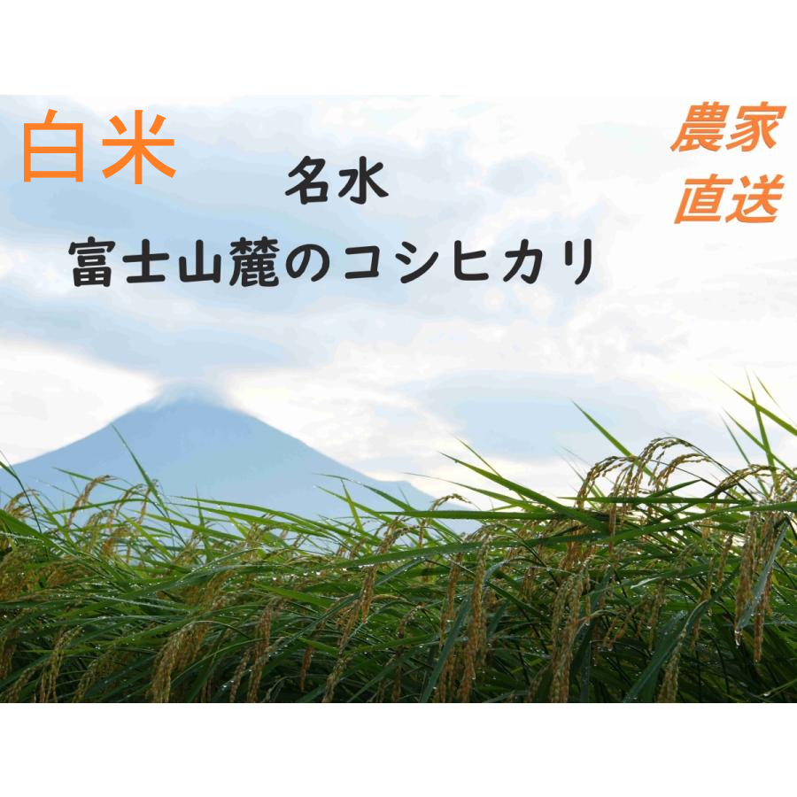 令和7年産 炊くとふっくら！霊峰富士山の湧き水が作った絶品コシヒカリ