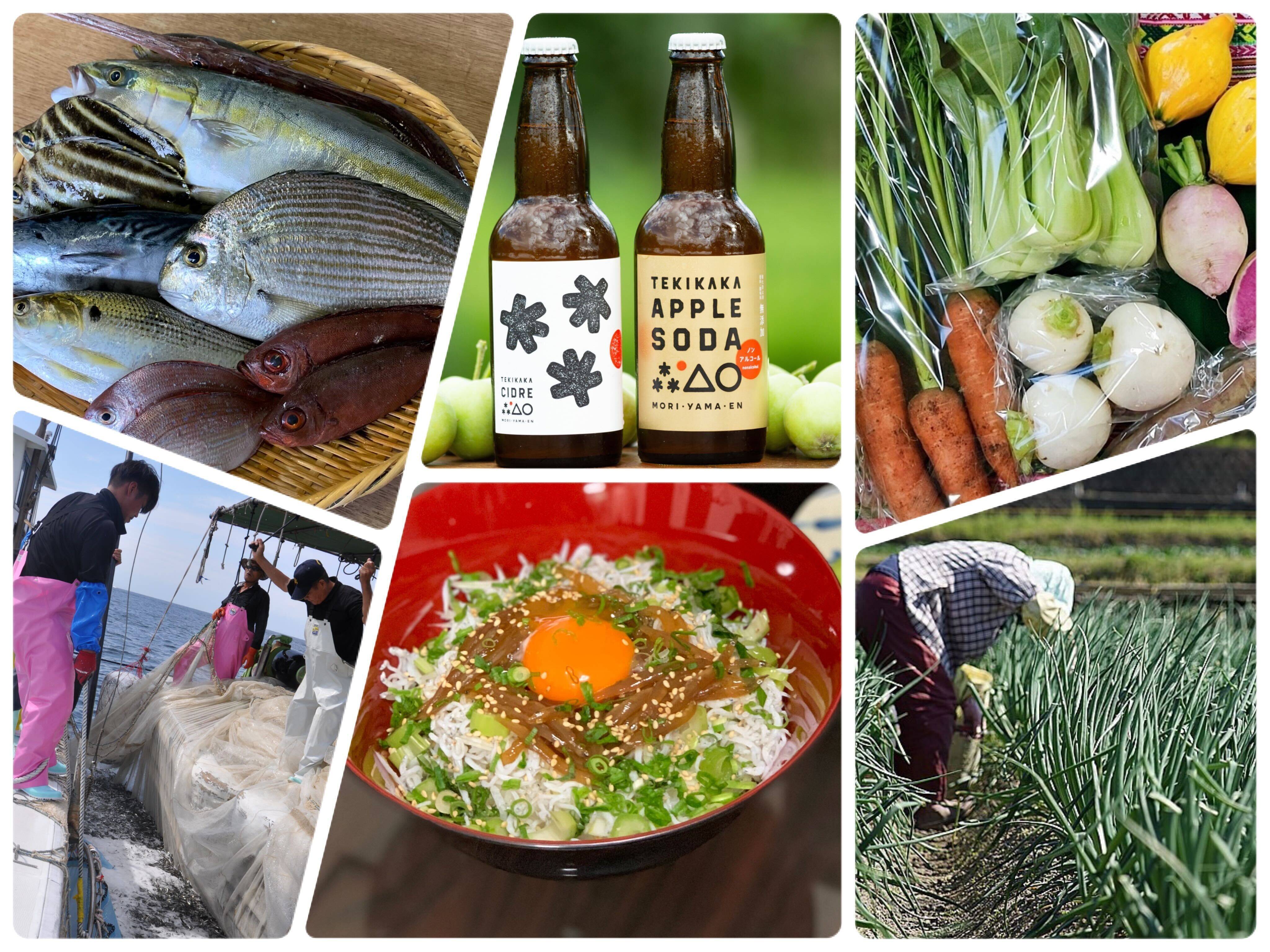 【食品ロス削減】「もったいない」を「おいしい」に。規格外・未利用魚特集