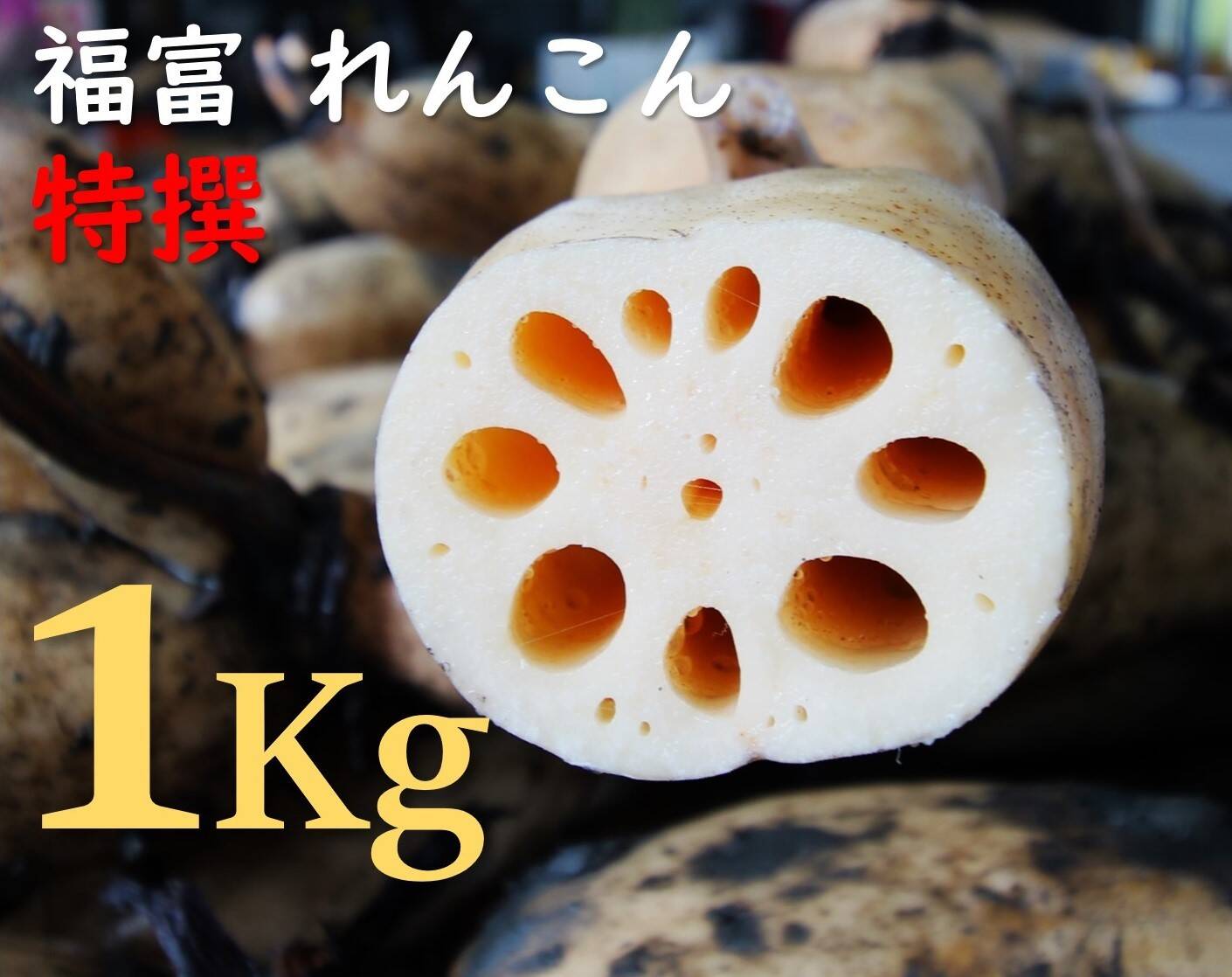 白蓮出品になります。 個包装なし、ぎっしり1kg超！】まるで泥パック！獲れたて新鮮、福が