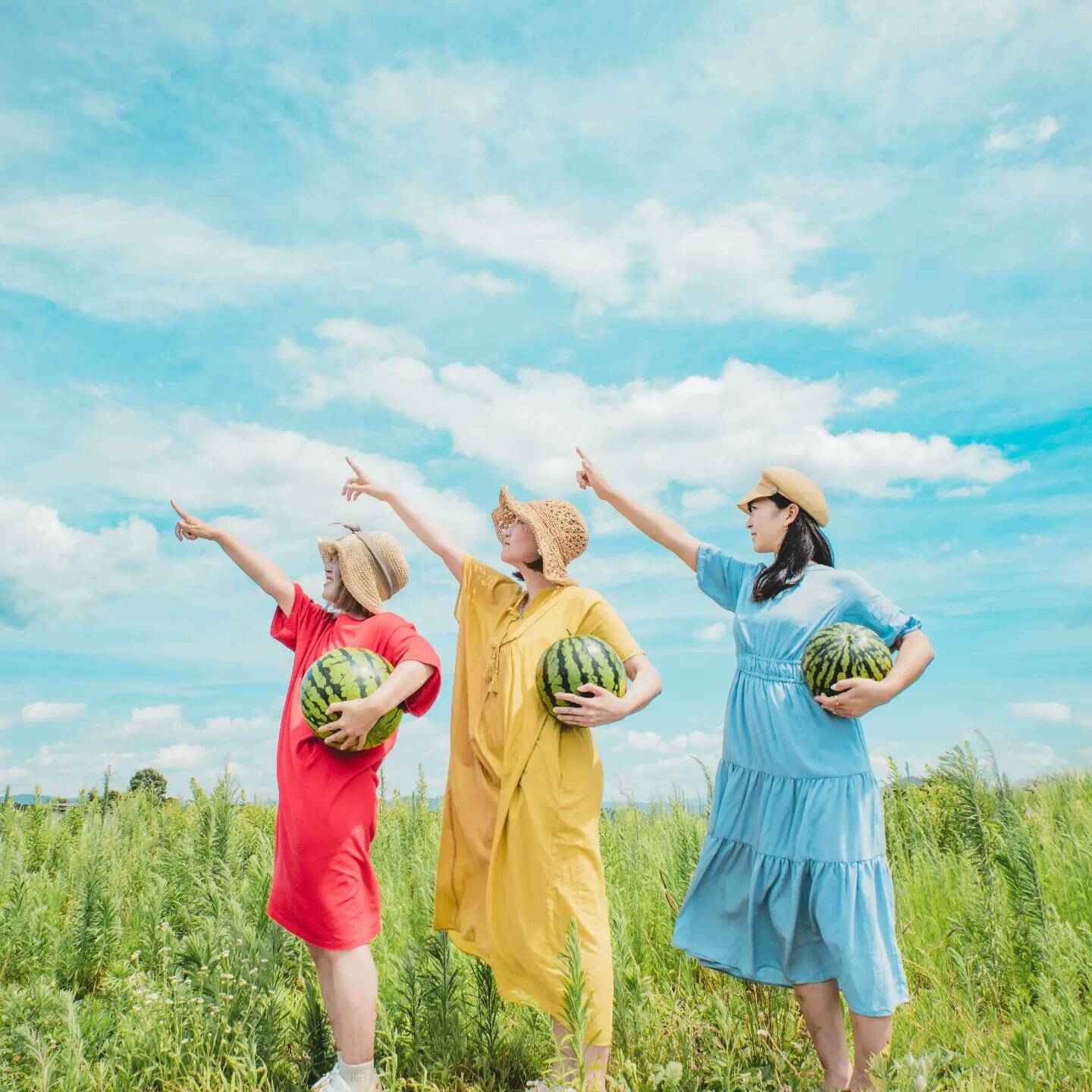 フォトグラファーとスイカのコラボレーション 食べチョク 産地直送 産直 お取り寄せ通販 農家 漁師から旬の食材を直送