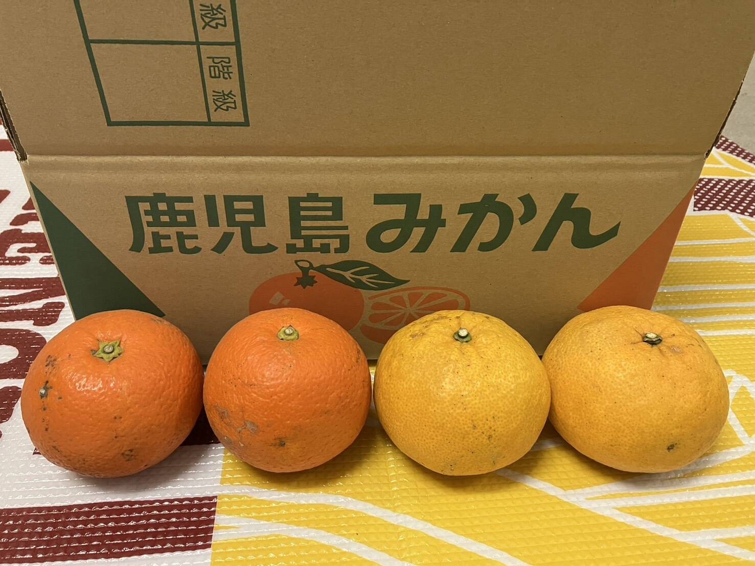 鹿児島県産「甘夏みかんと橙の詰め合わせ」10㎏：鹿児島県産の