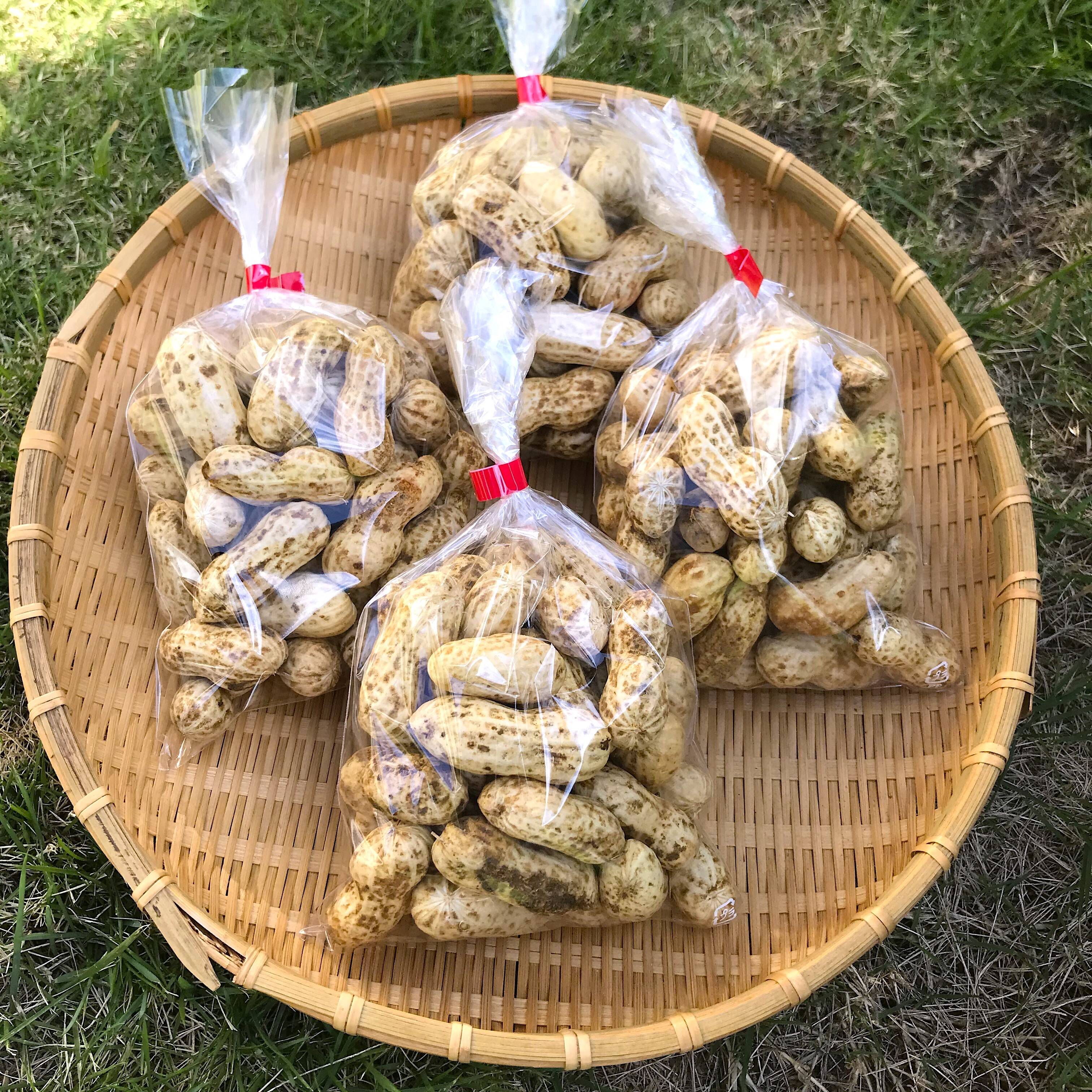 農薬化学肥料不使用】なま落花生（おおまさり）1kg：山梨県産のおお