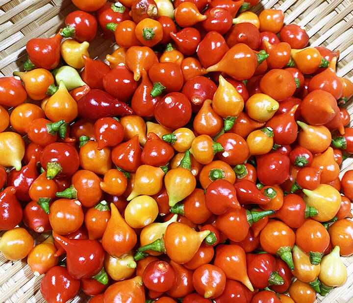 bf393c06bebc825d6dd635744a5dd7