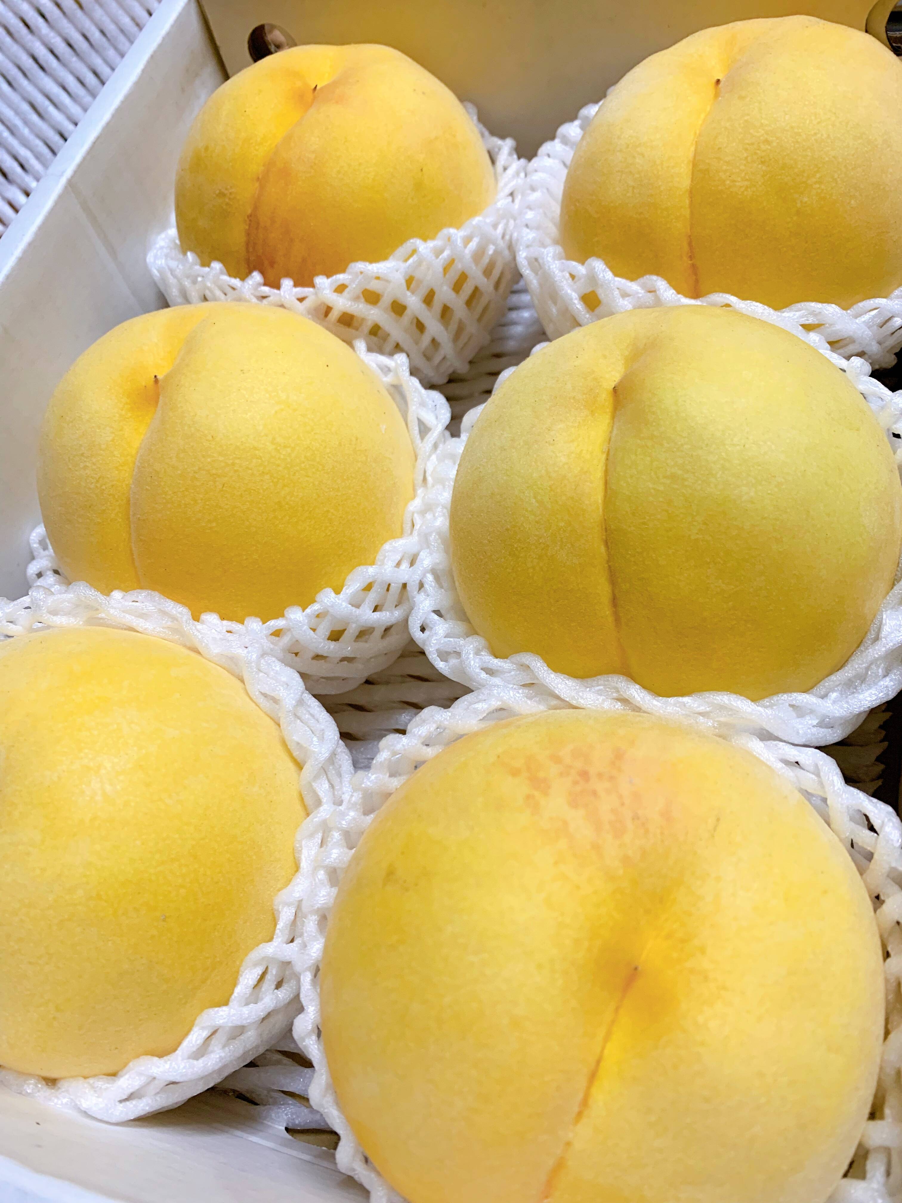 bf68e1e36d59d8516c8bd57be02f93