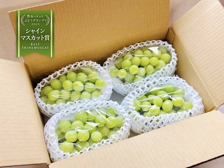 シャインマスカット (4房) 約2.5kg！ [ご家庭用]：茨城県産のシャイン