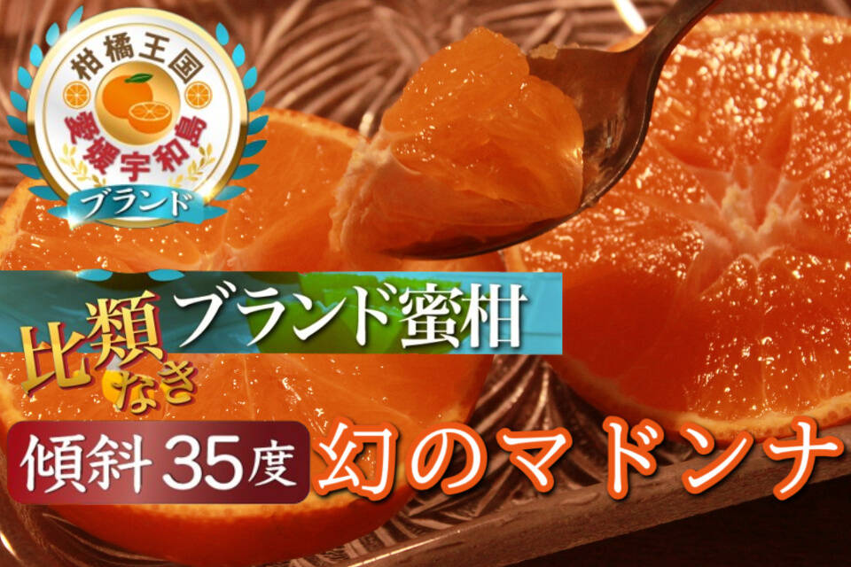 満腹まどんな 8キロ×2   愛媛県宇和島産 🍊15年の歳月の最高傑作🍊崖上の幻の果実マドンナわずか1%しか