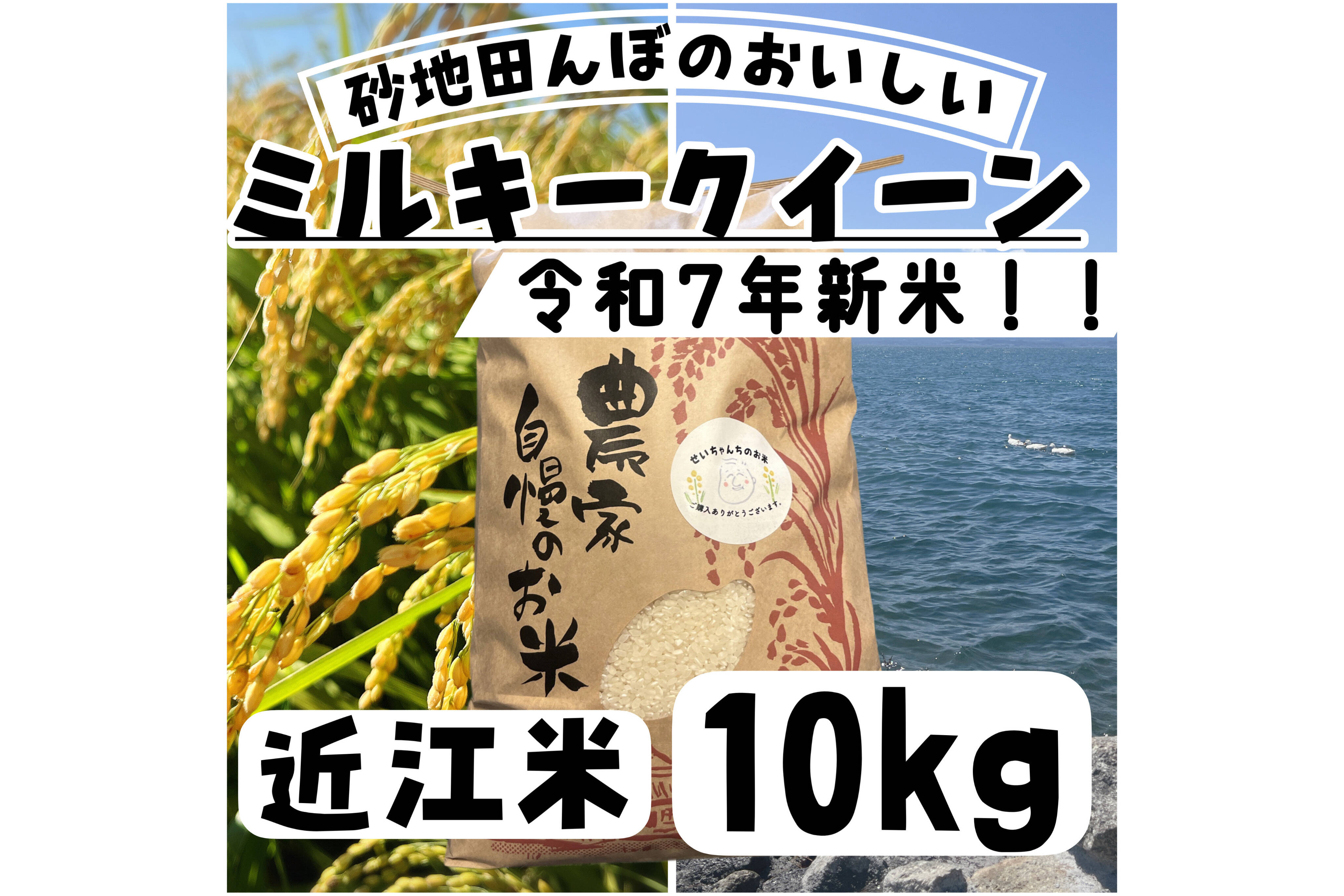 令和7年新米】【白米】 『ミルキークイーン10kg』冷めてもおいしい