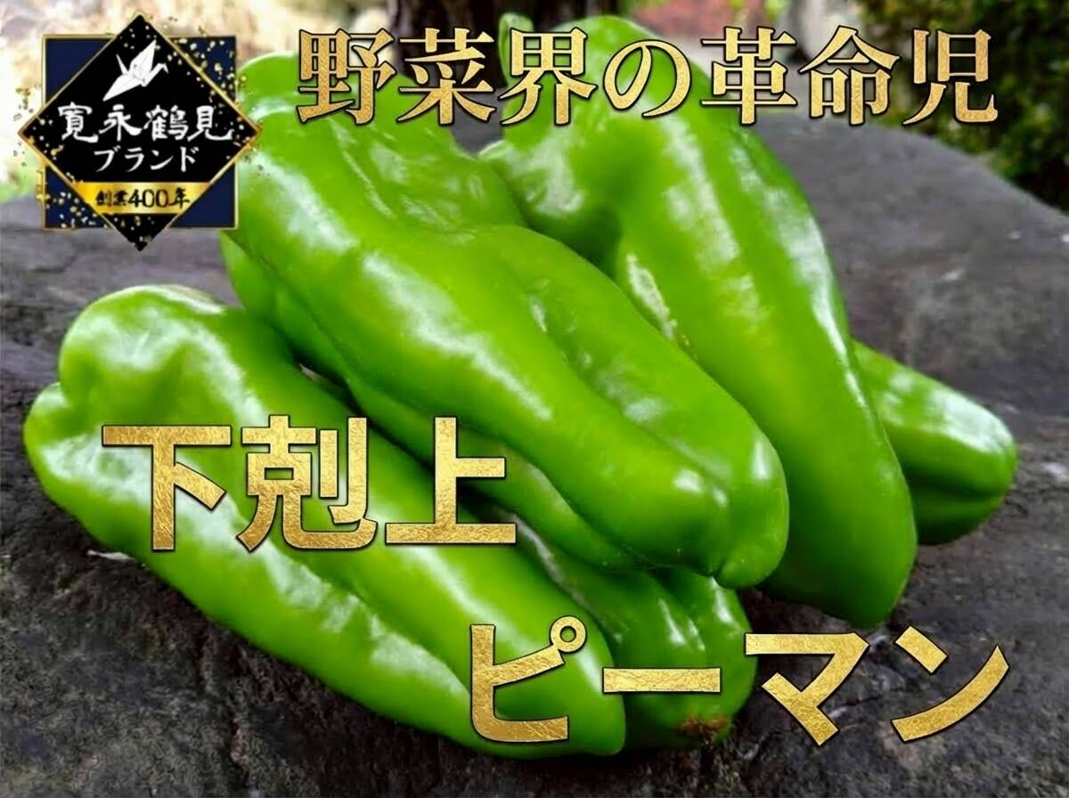 ピーマンさま専用 🫑野菜嫌いが吹っ飛ぶ🫑『下剋上ピーマン』400年土壌の栄養を最大限