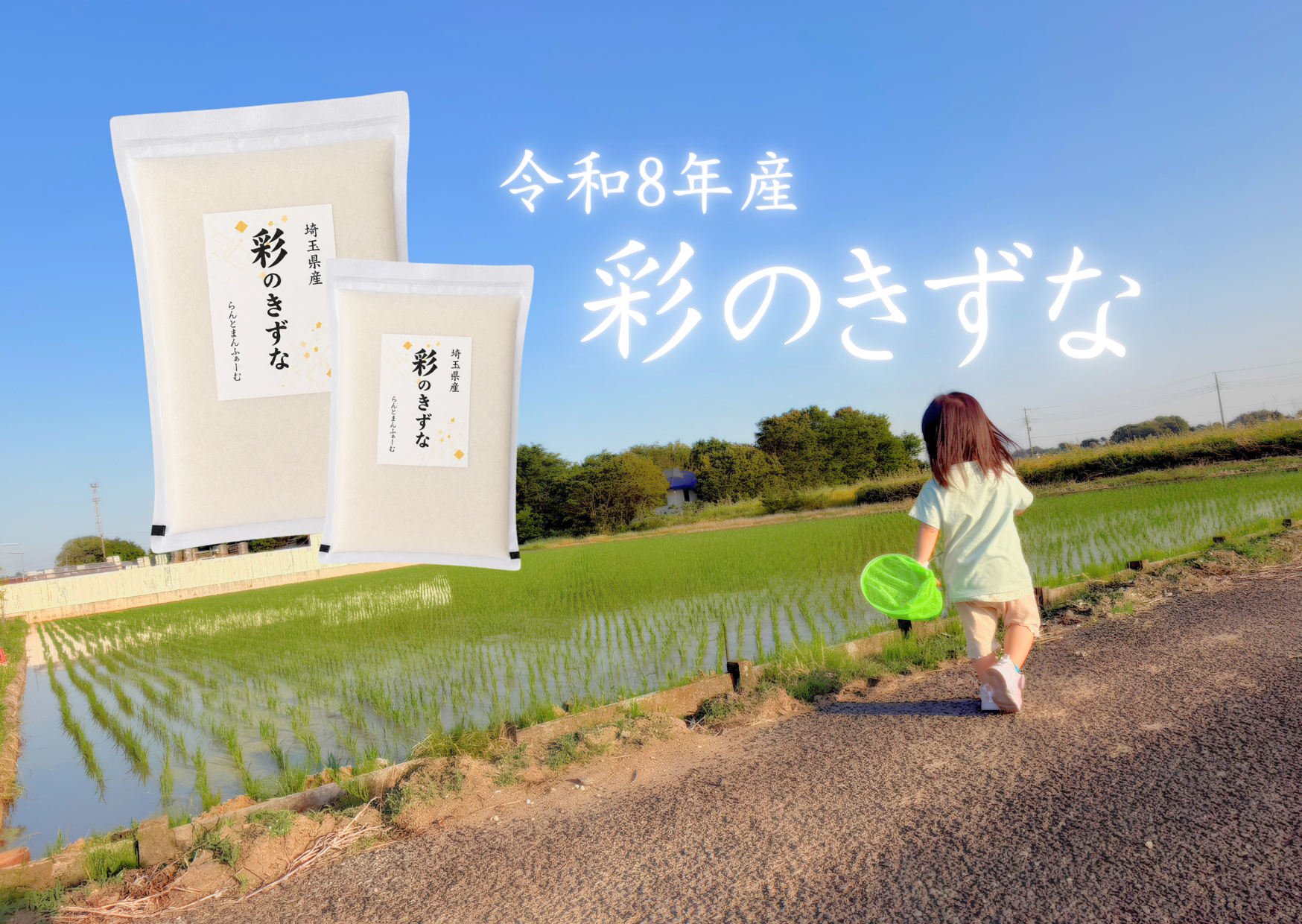 R8年産 新米】予約でお得に！『彩のきずな』 (精米2kg)：埼玉県産のお