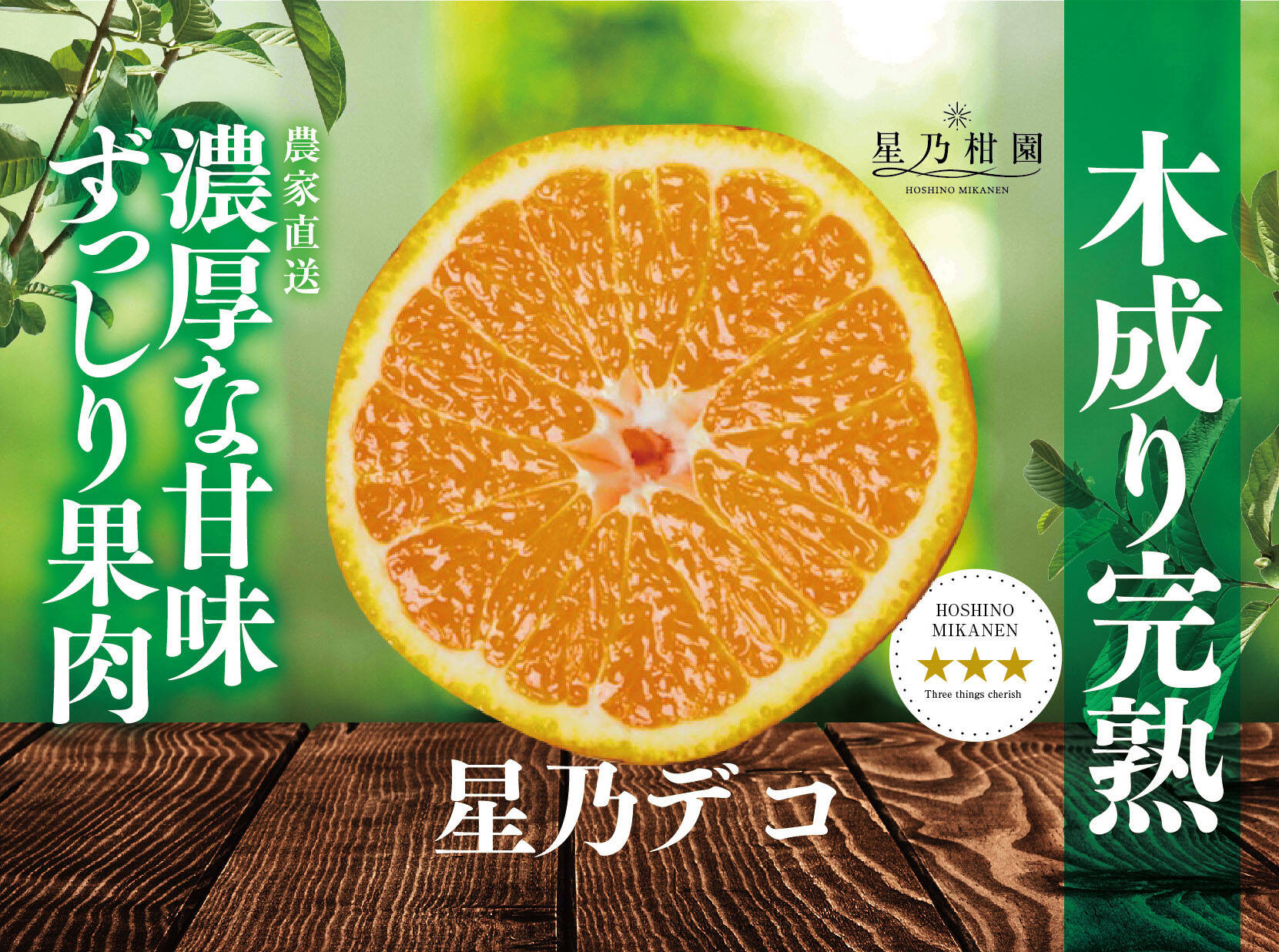星乃デコ】不知火 木成り完熟 愛媛産みかん 3.5kg：愛媛県産のみかん