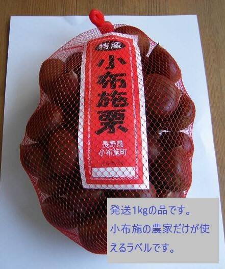 信州 小布施栗 早生栗 L玉1キロ：長野県産の国見｜食べチョク｜産地