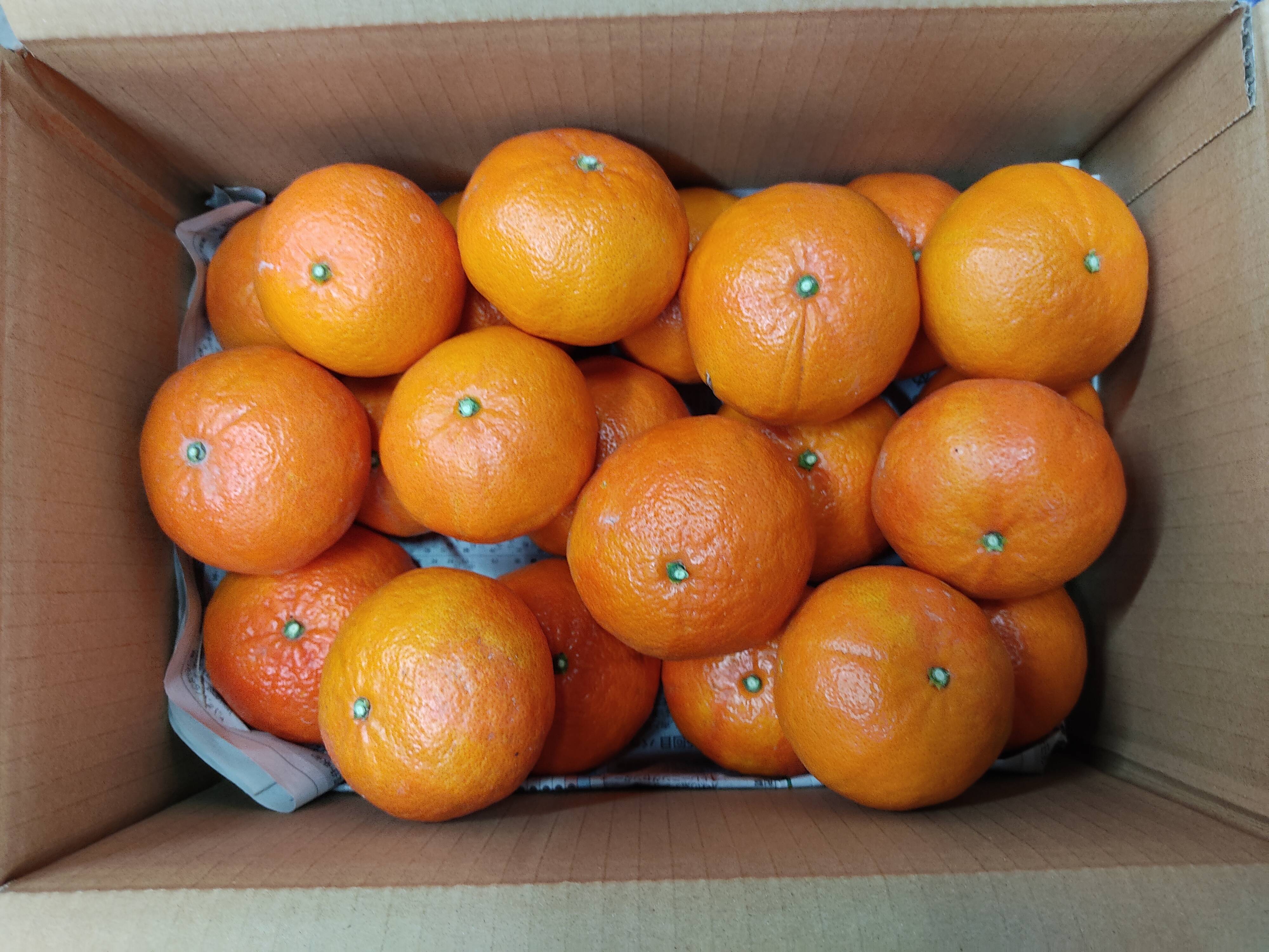 紅ばえ 家庭用A・Bミックス 3K：愛媛県産のみかん・柑橘類｜食べ