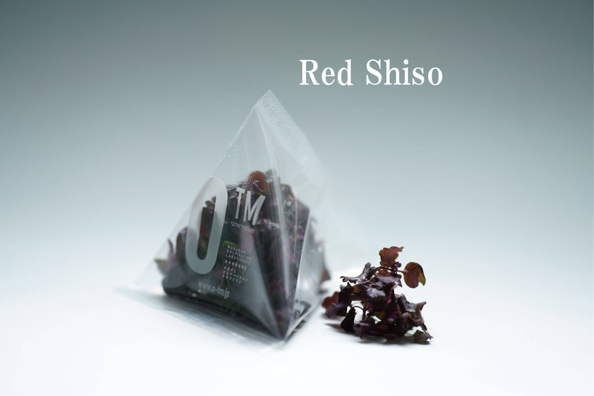 赤しそ】マイクログリーン(7g)成熟野菜の約5倍の栄養価！：石川