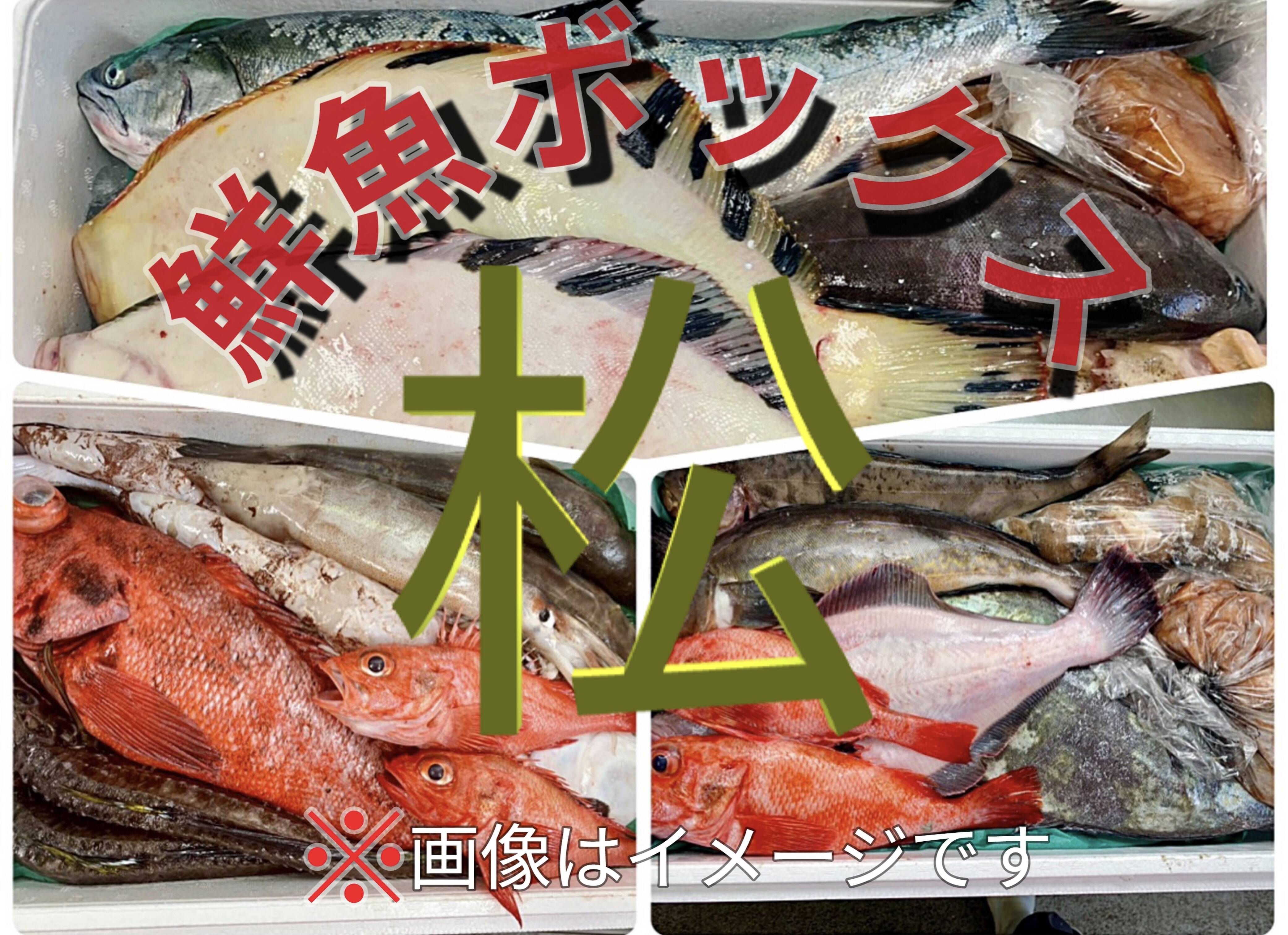 松コース 【知床らうす直送】船頭にお任せ！鮮魚ボックス（詰め合わせ 