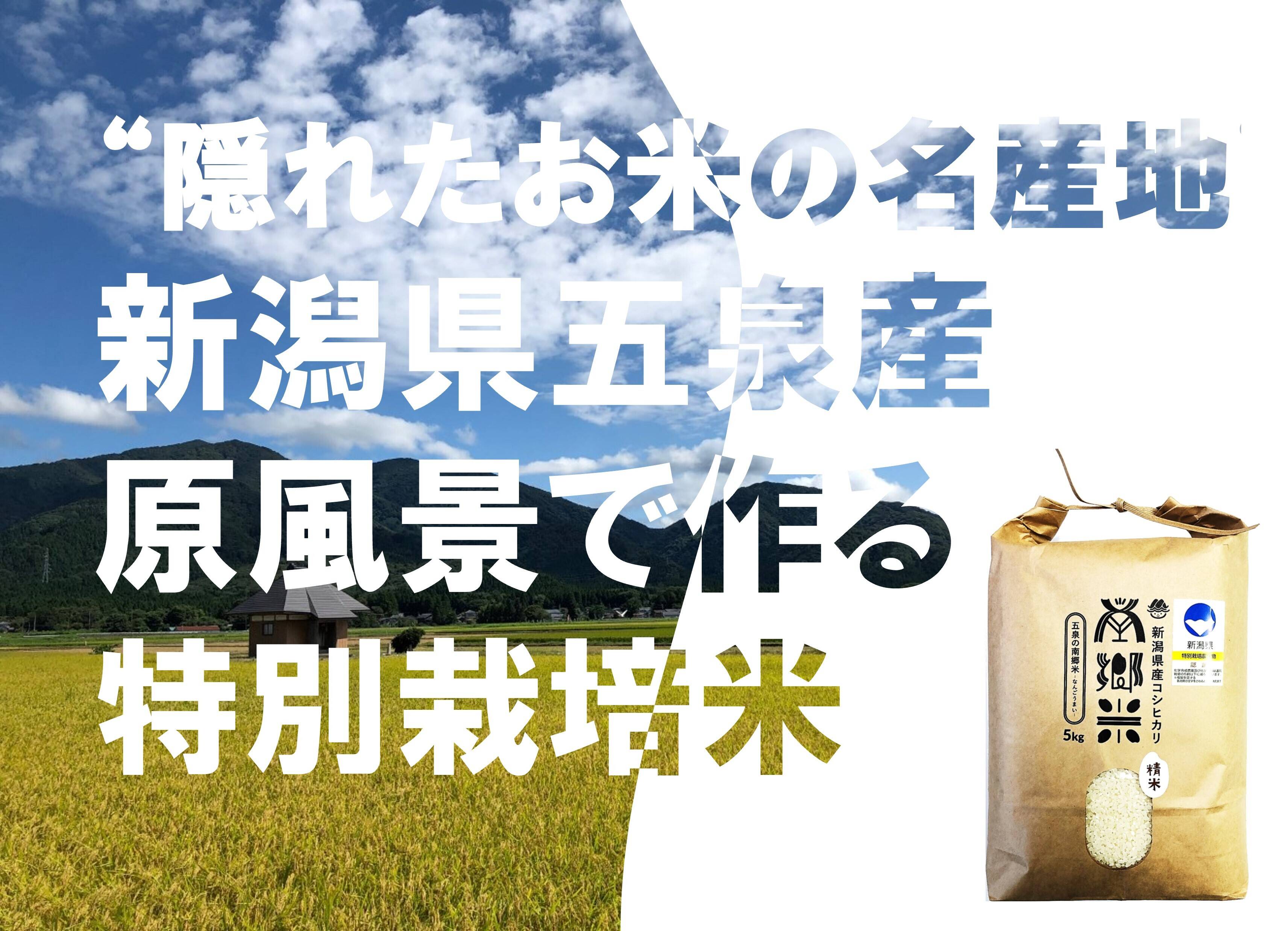 令和６年新米 予約受付開始！特別栽培米''隠れたお米の名産地''新潟県五泉産コシヒカリ100%「南郷米」精米20kg